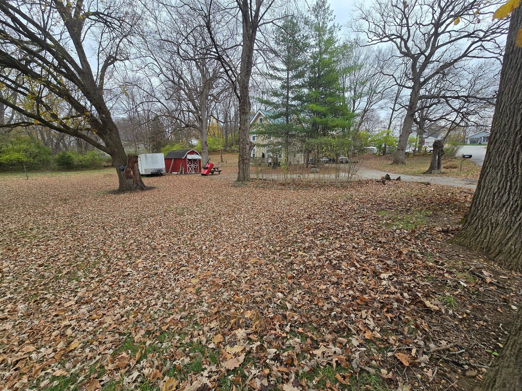 All Photos for Tingley's Green Land Services in Springfield, Ohio