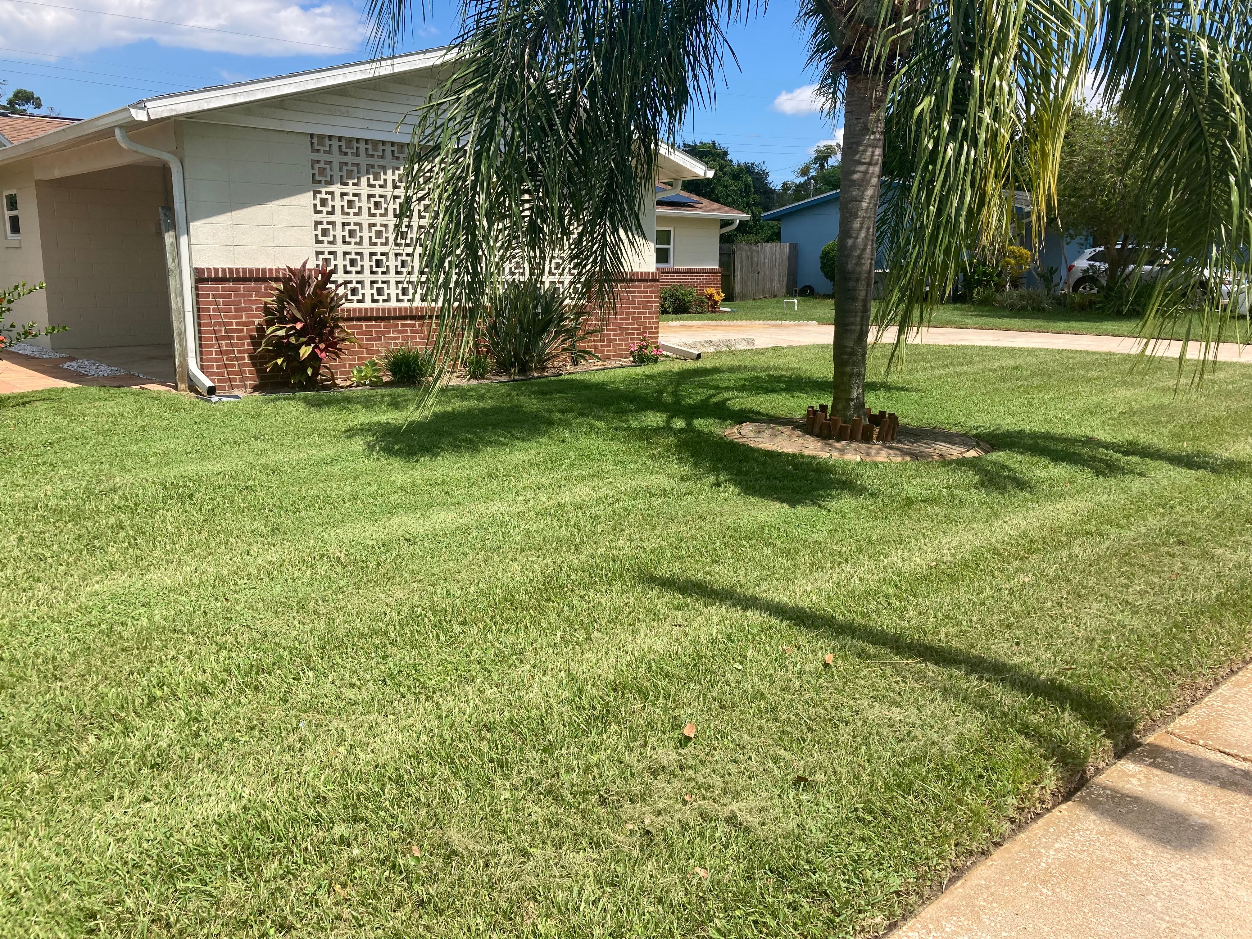 All Photos for Impressive Lawns 321 LLC in Titusville, FL