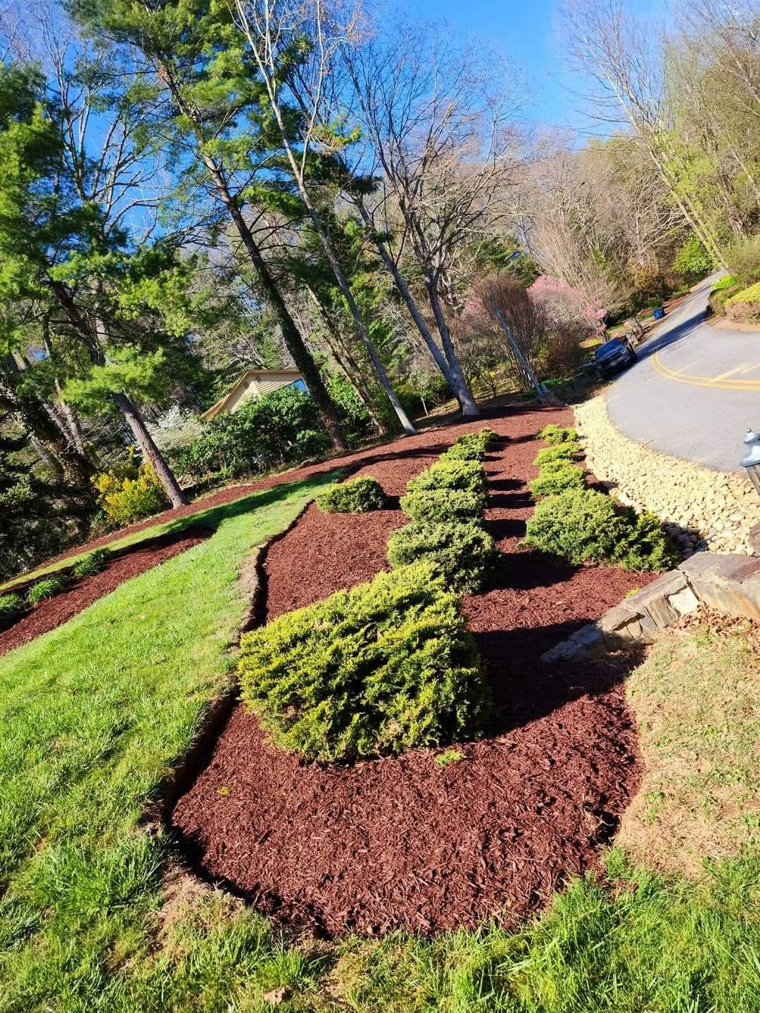  for Lopez Landscaping and Tree Service  in Waynesville, NC