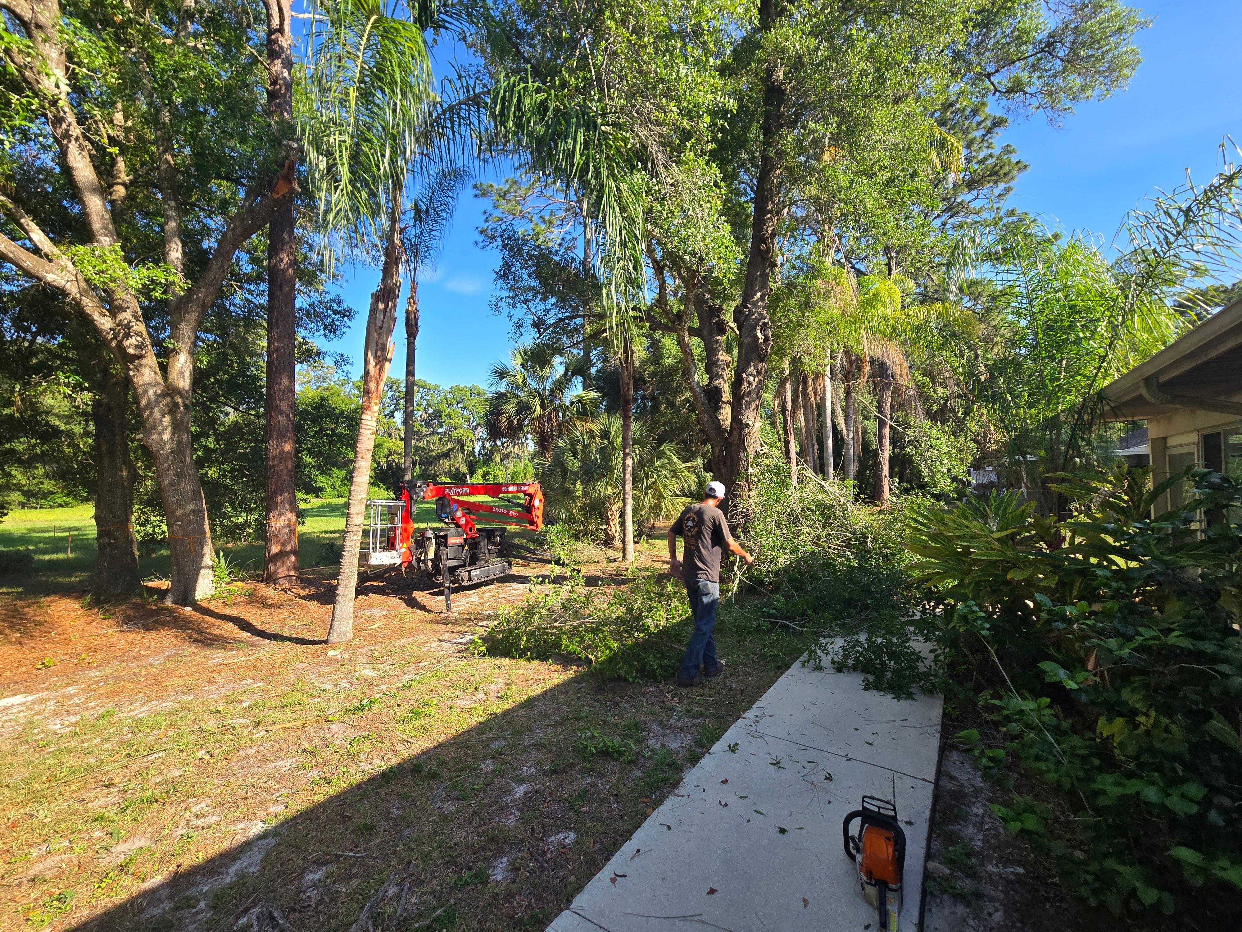 All Photos for Near Me Tree Service, Inc. in DeLand, FL