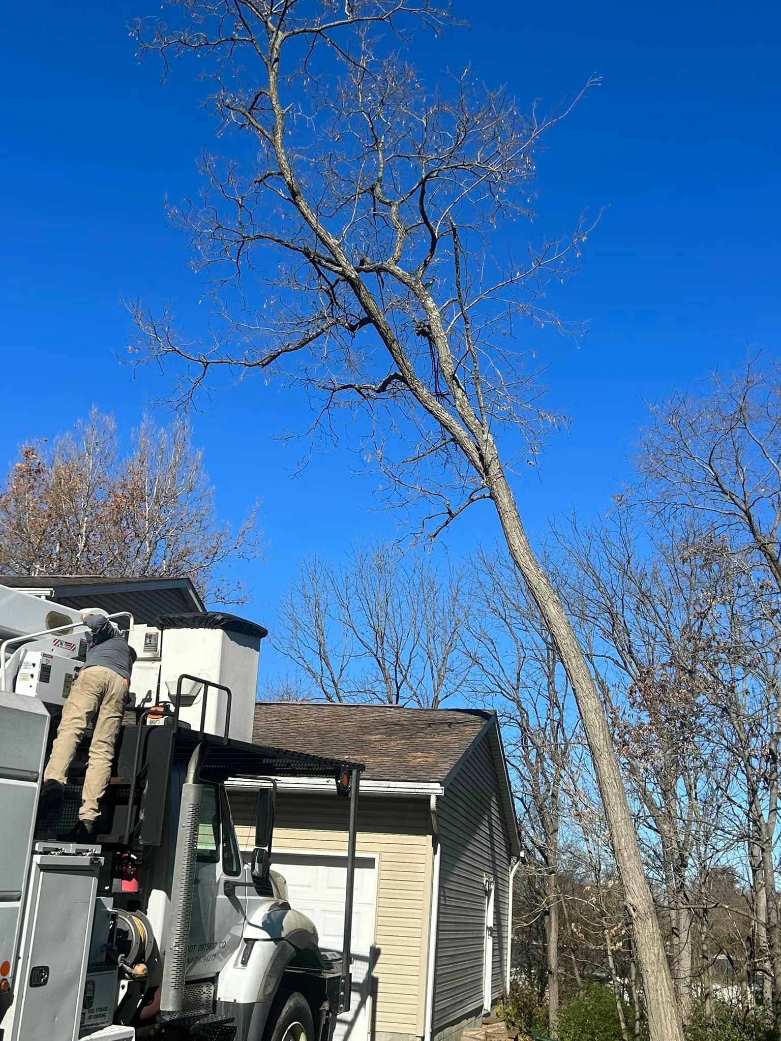  for Dig-It Tree Company in , 