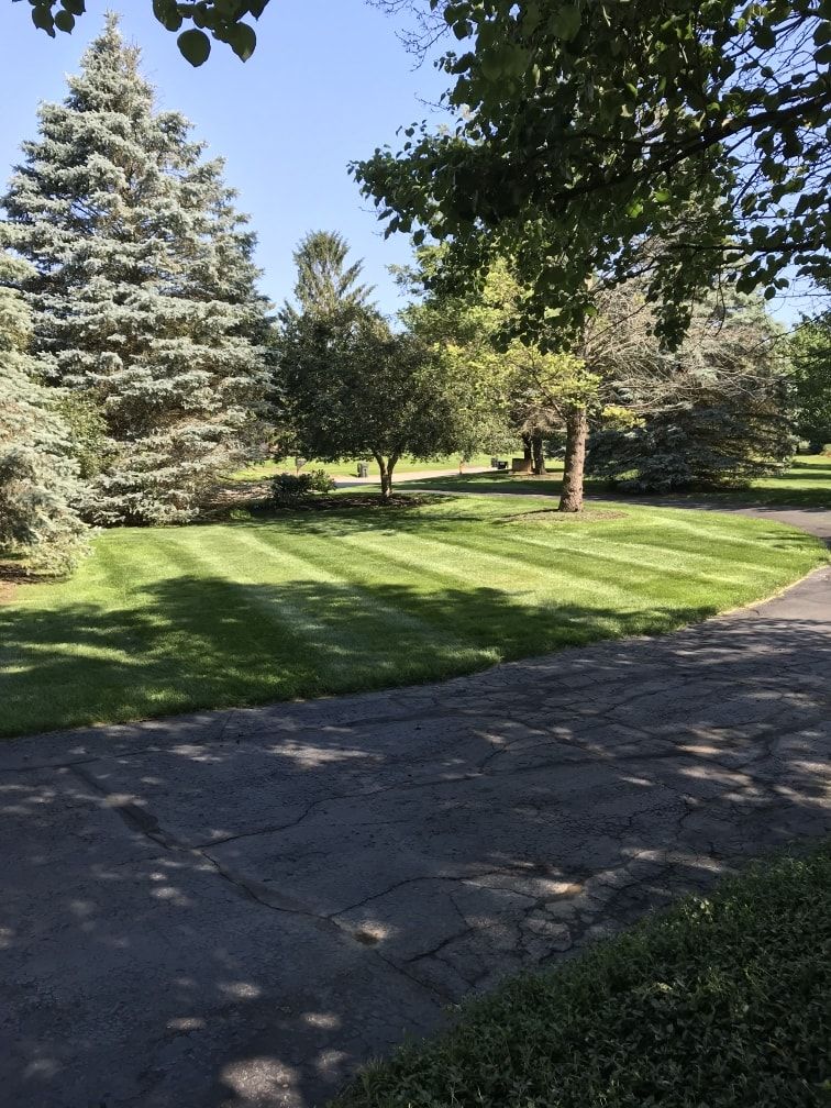  for Down To Business LLC in Howell, Michigan