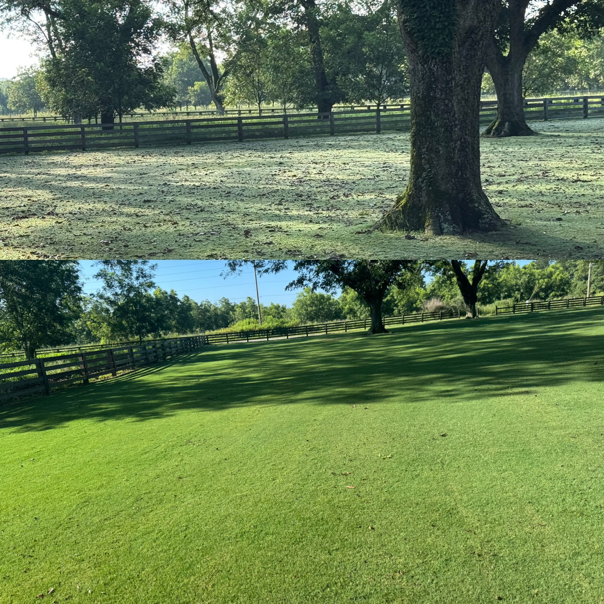 All Photos for Camalett Services in Perry, GA