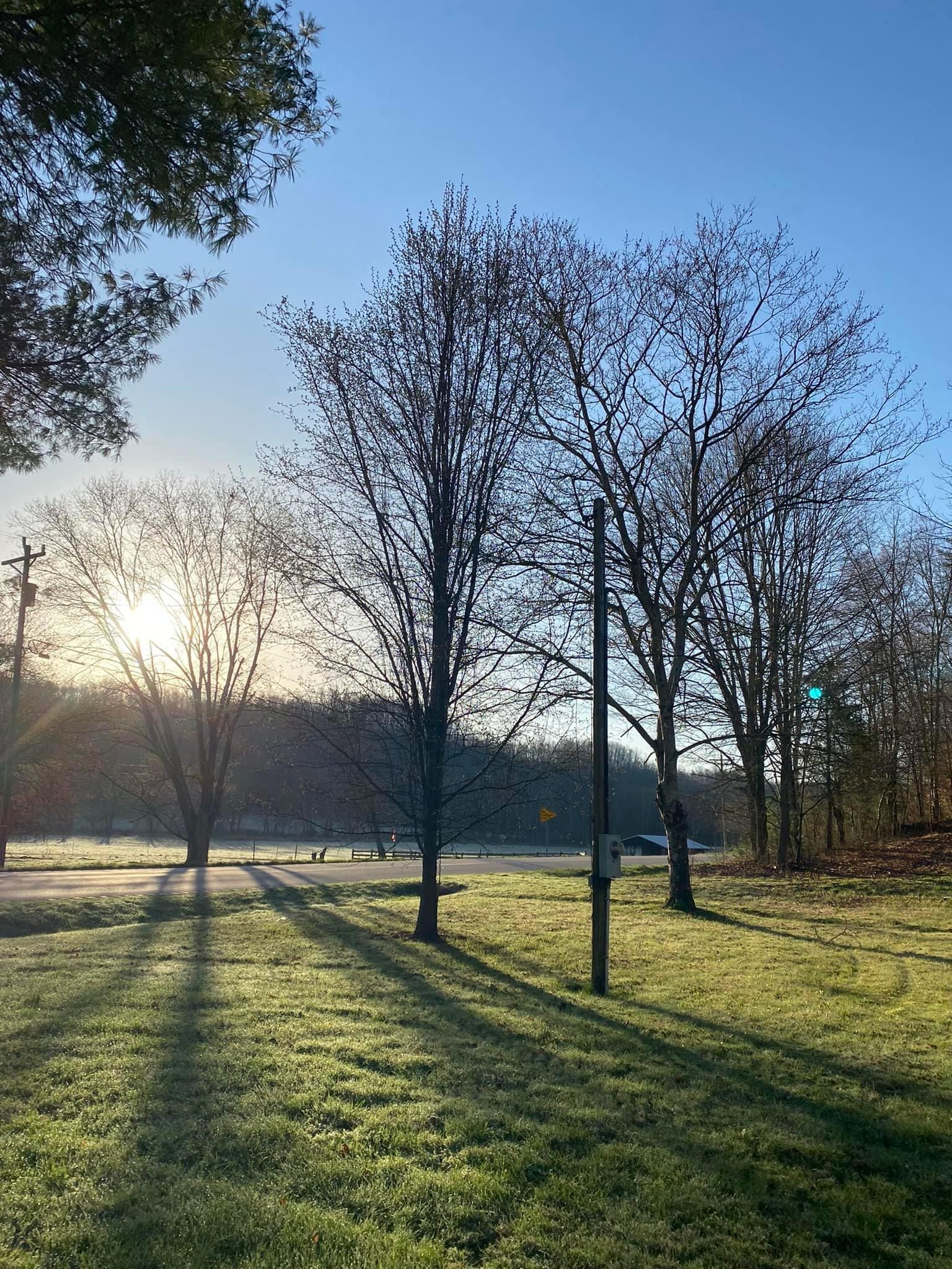 Fall and Spring Clean Up for Atwood’s Tree Care in Liberty,  KY