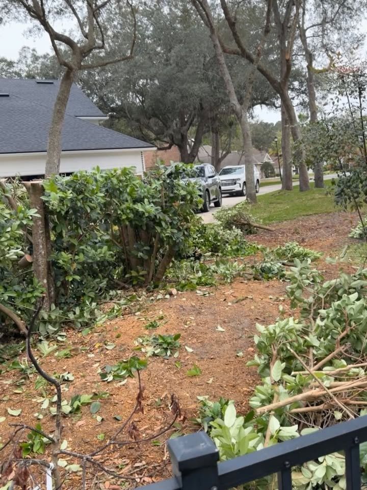  for Whole 9 Yards Services LLC in Green Cove Springs, FL