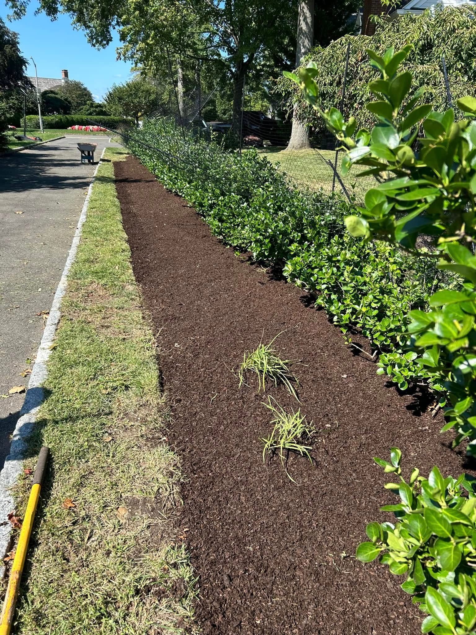  for Jose Gonzalez Landscaping in Stamford, CT