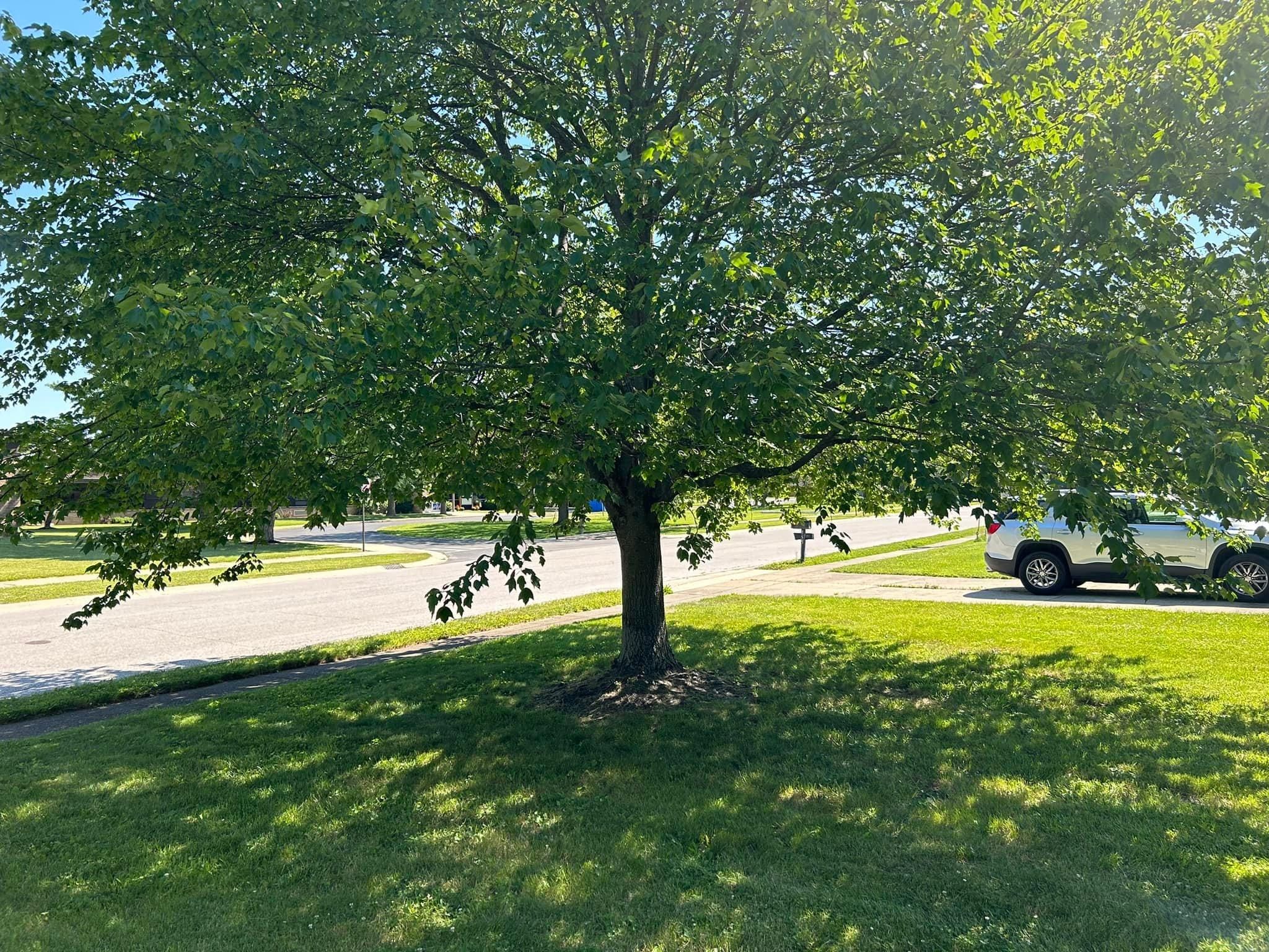  for Bearforce Lawn Care LLC in Greenfield, IN