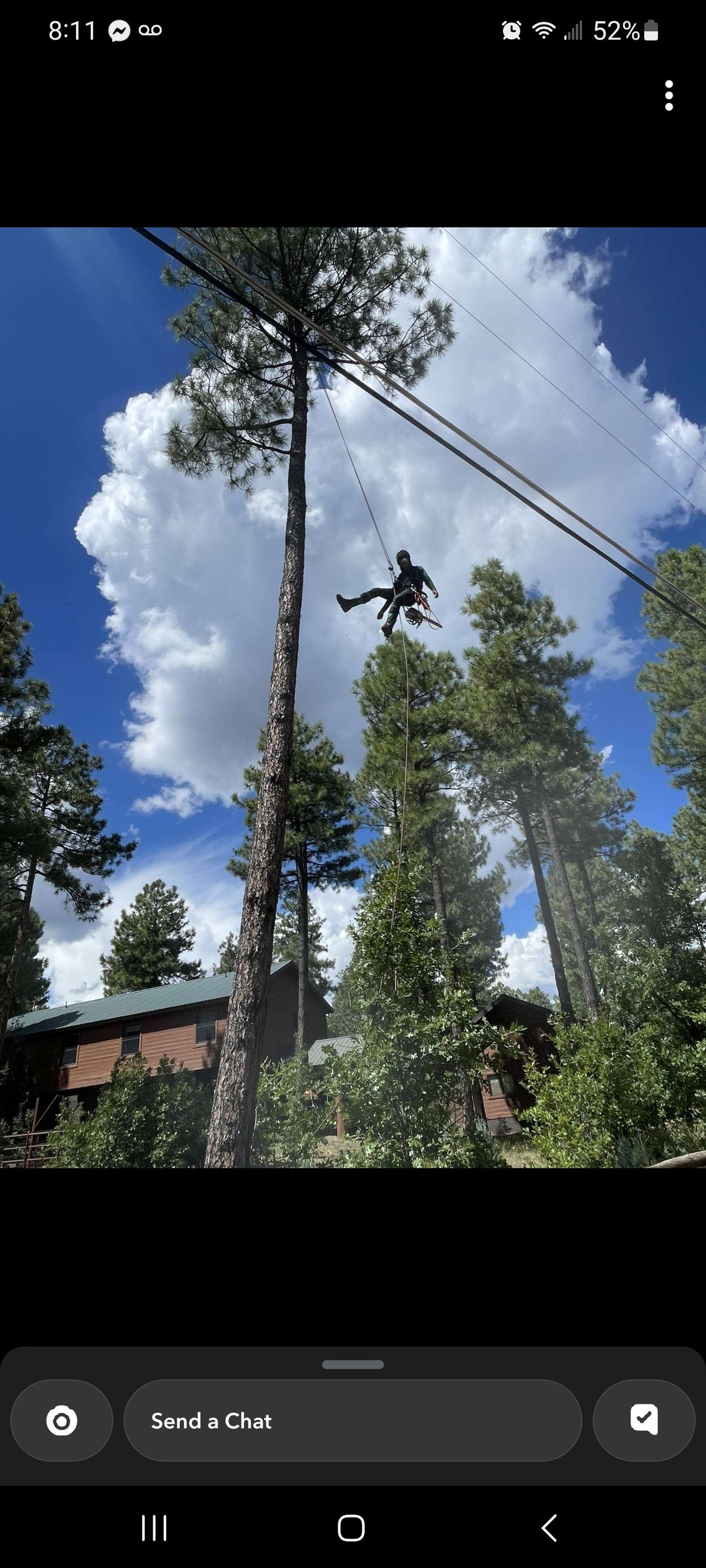  for StockPro Tree Specialists in Show Low, AZ