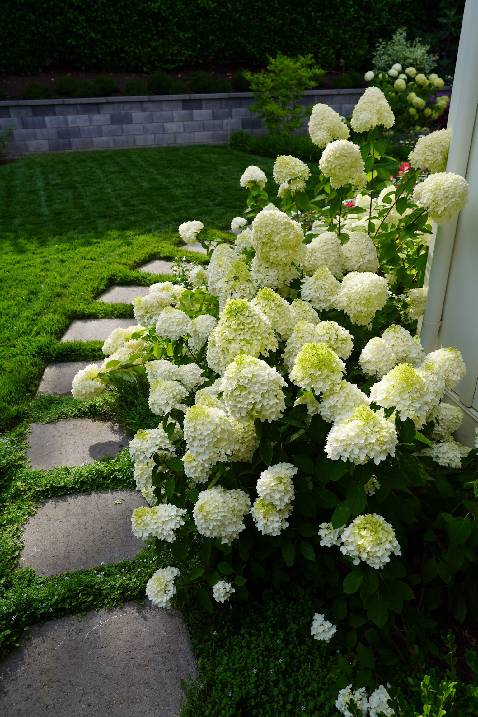  for Courtney Lewis Landscape Design in Portland, OR