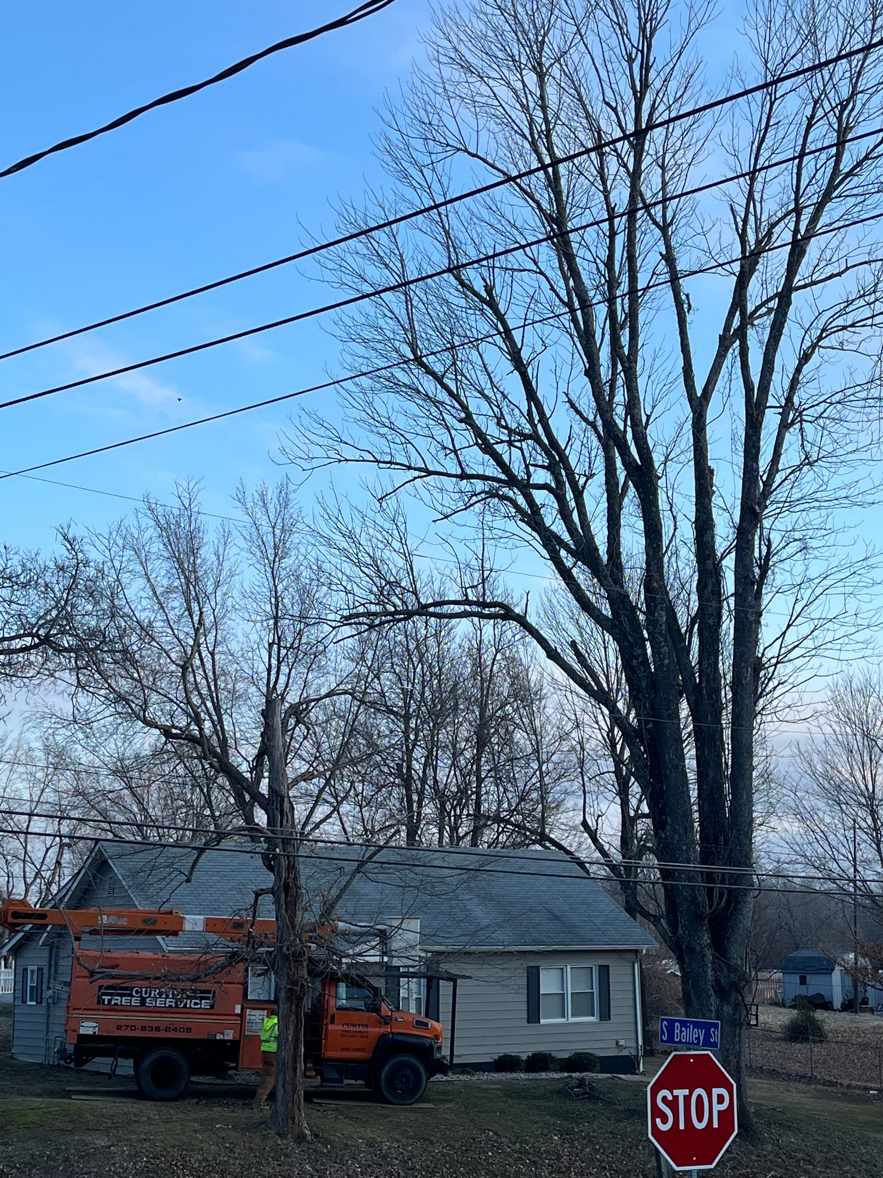  for Curtis Tree Service LLC in Hopkins County, KY