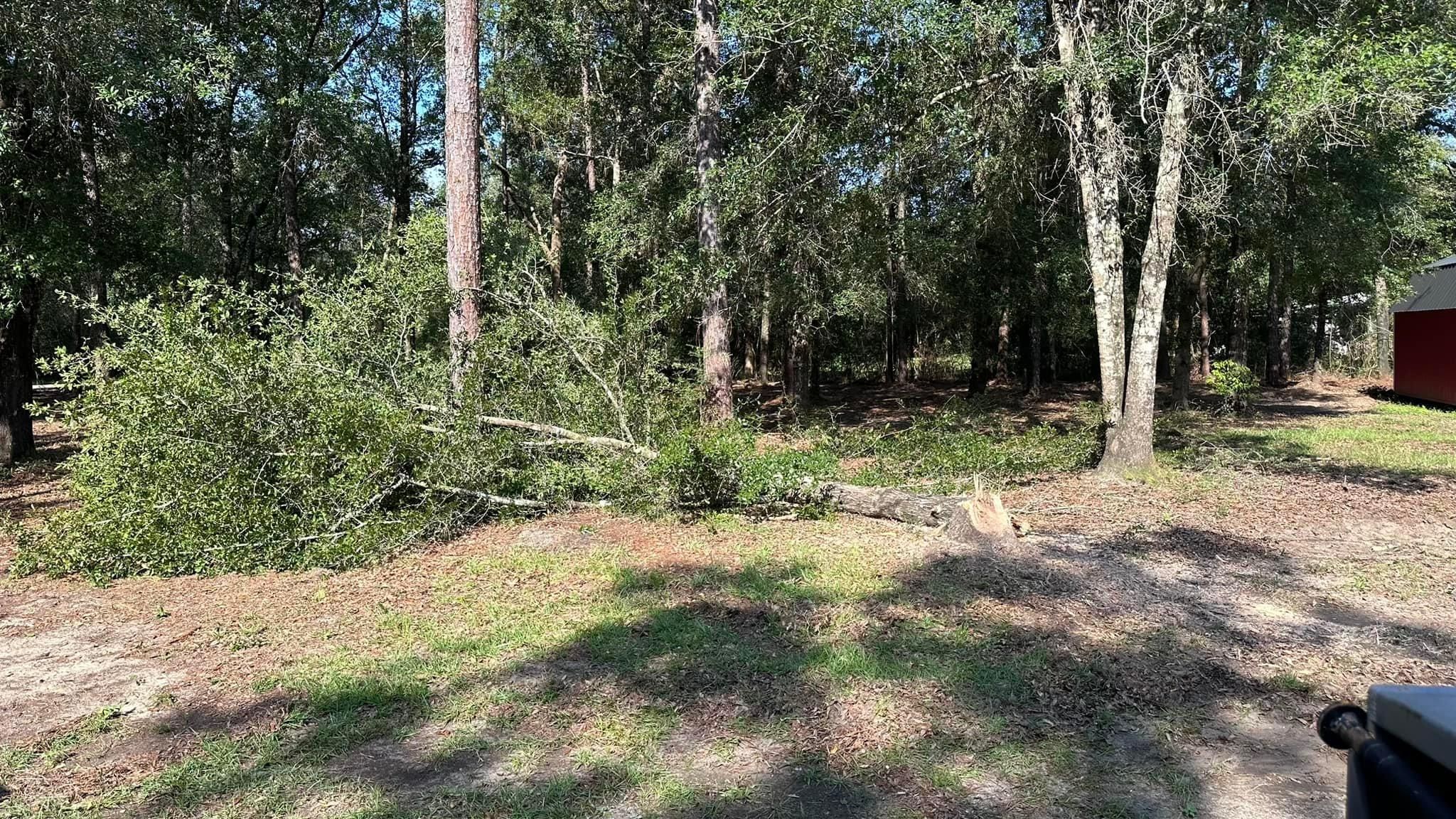 All Photos for White’s Land Maintenance in Milton,, FL