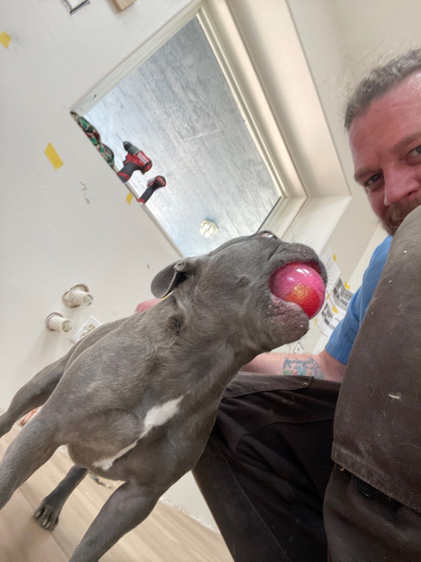 It's really about the pets we meet along the way... for Mr. Pipe Dreams LLC in Colorado Springs, CO