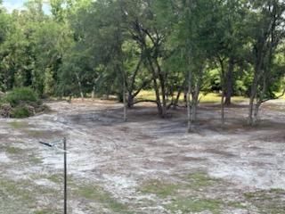  for All Seasons Tree and Land Works in Trenton, FL