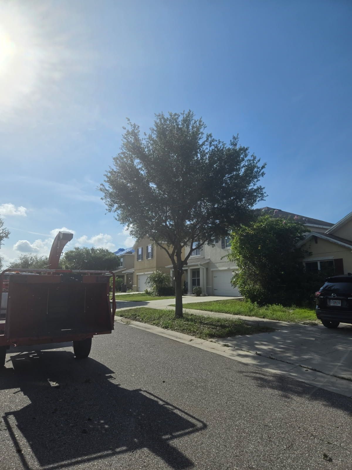 All Photos for TREE BOYS in Ruskin, FL