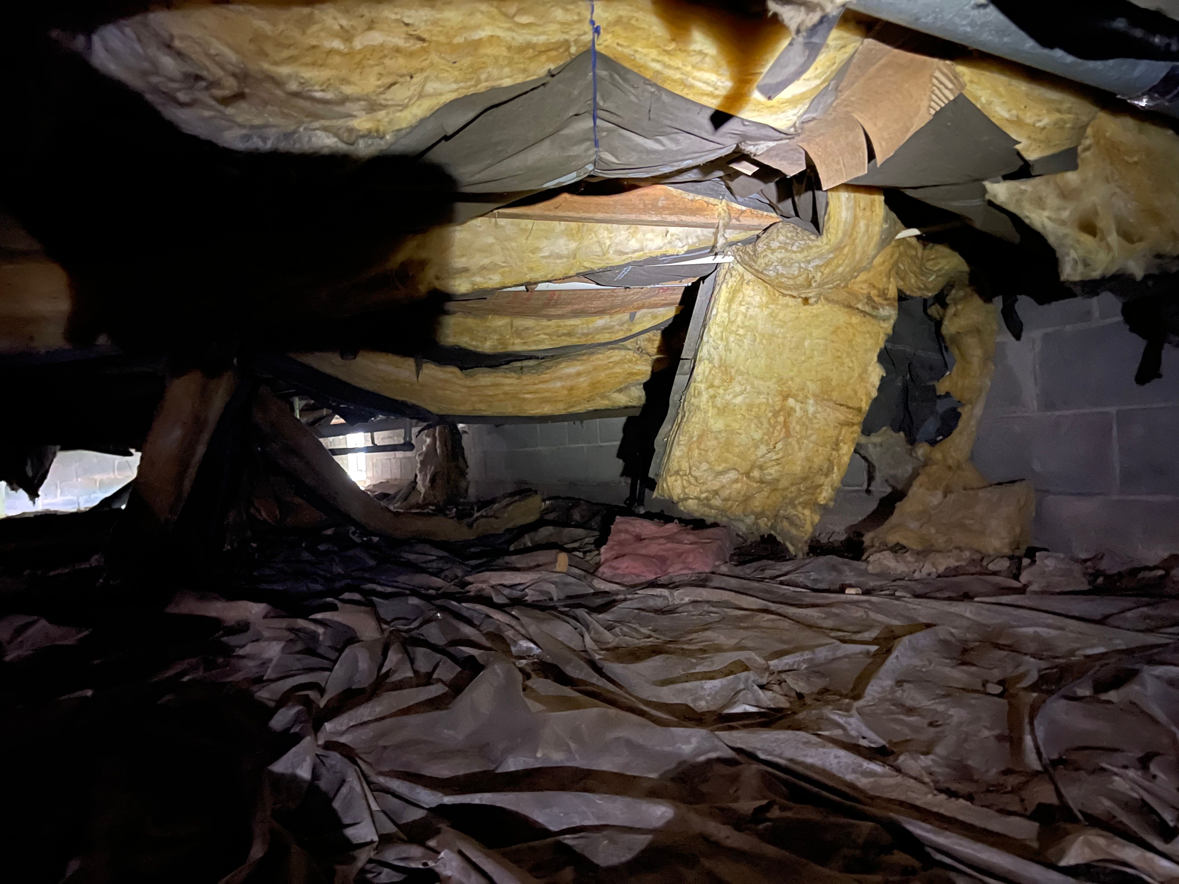  for All-In Pest Control & Home Solutions in Greene County, IN