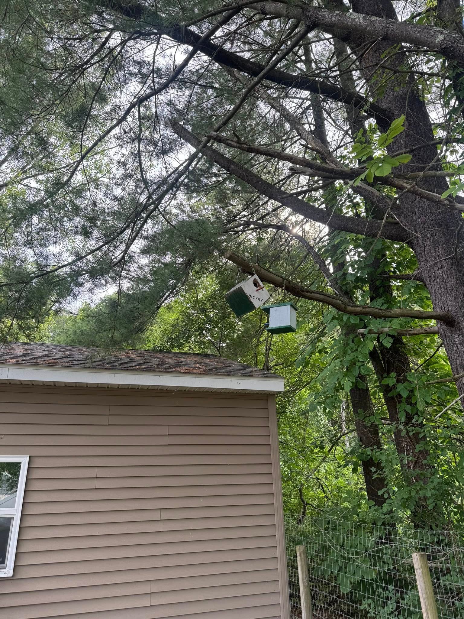  for T's Trees in Albany, NY