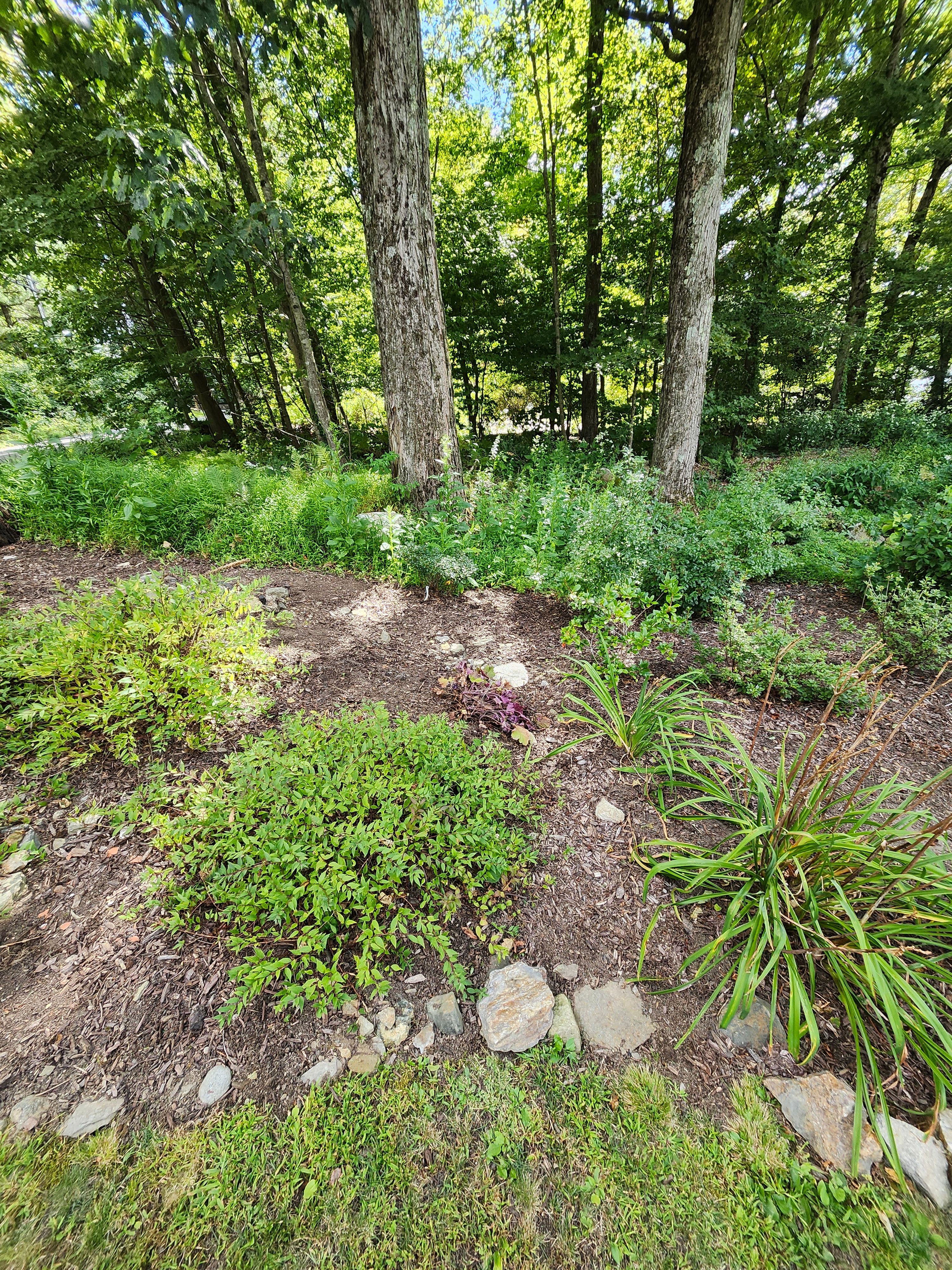 Muclhing & Weeding for Landscape Innovations LLC in Torrington, CT