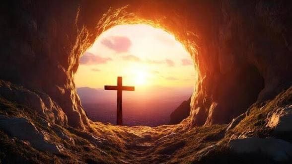  for 5-7 Fencing & Construction in Madisonville, TX