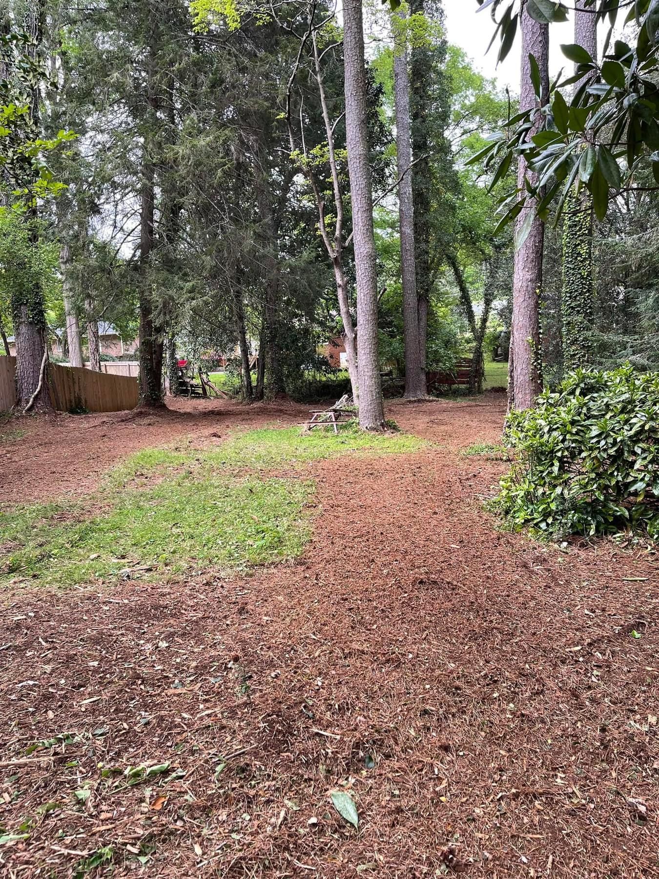 Satisfied customers Before and After for G&H Forestry Mulching and Land Services in Fayetteville, GA