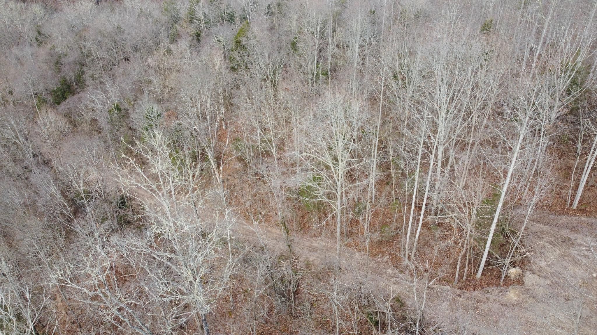  for Excavation Innovations in Rogersville, TN