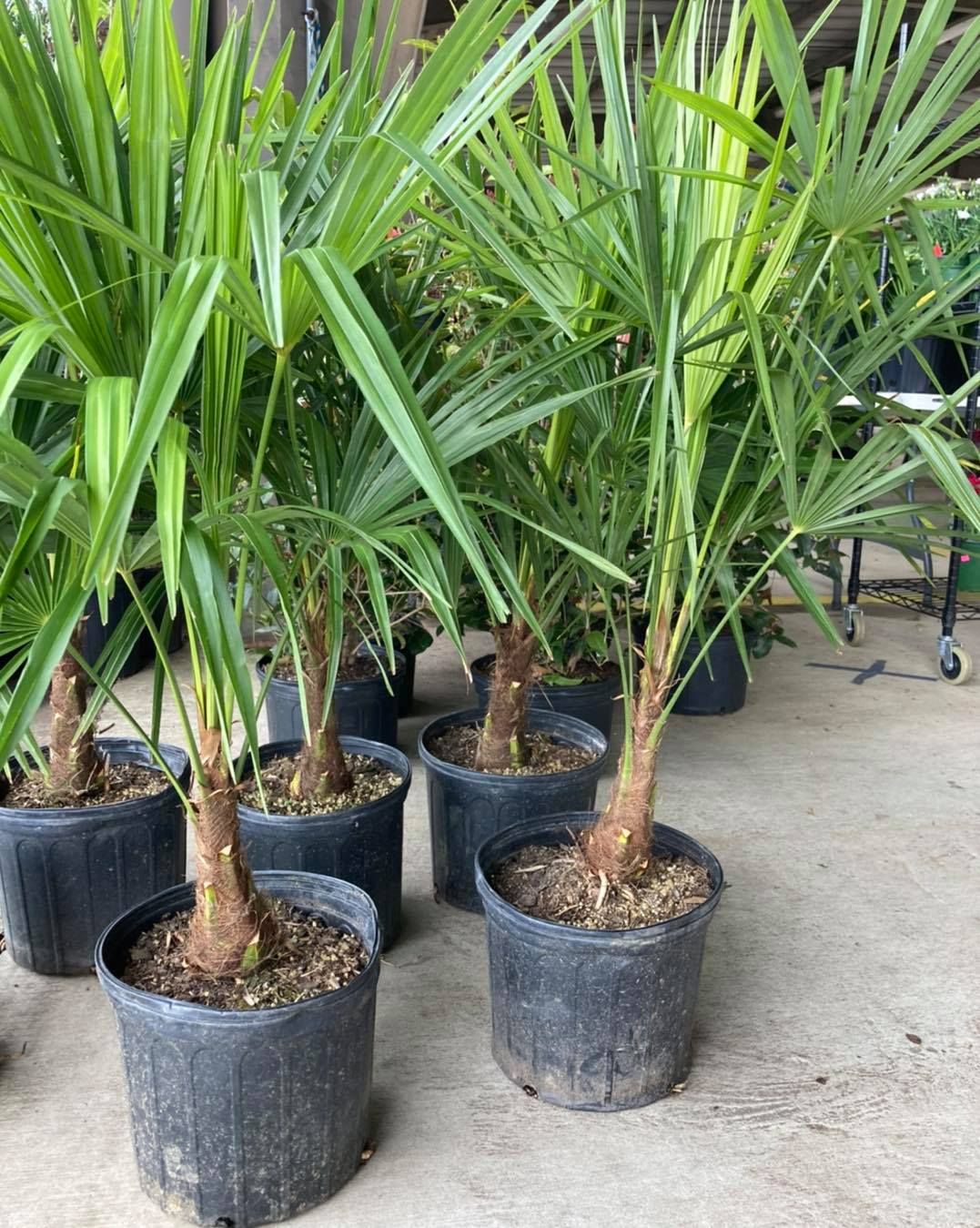 All Photos for S&R Landscaping and Nursery in Charlotte, NC