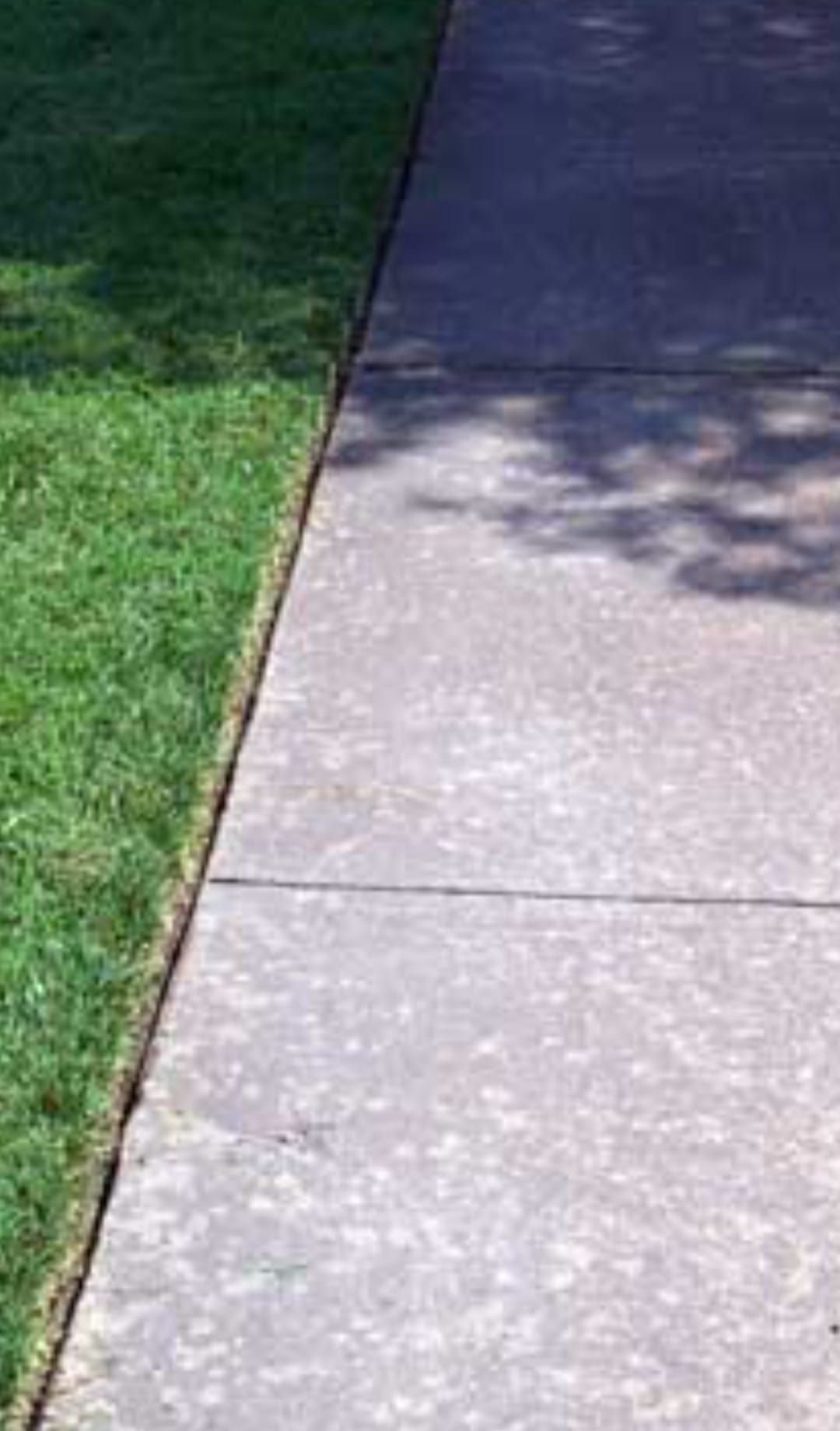  for Lawn Ranger Lawn Care & Maintenance in Hammond, LA