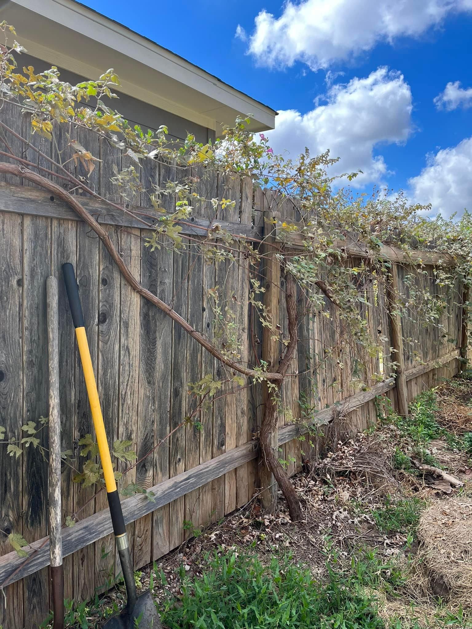  for Green Turf Landscaping in Kyle, TX