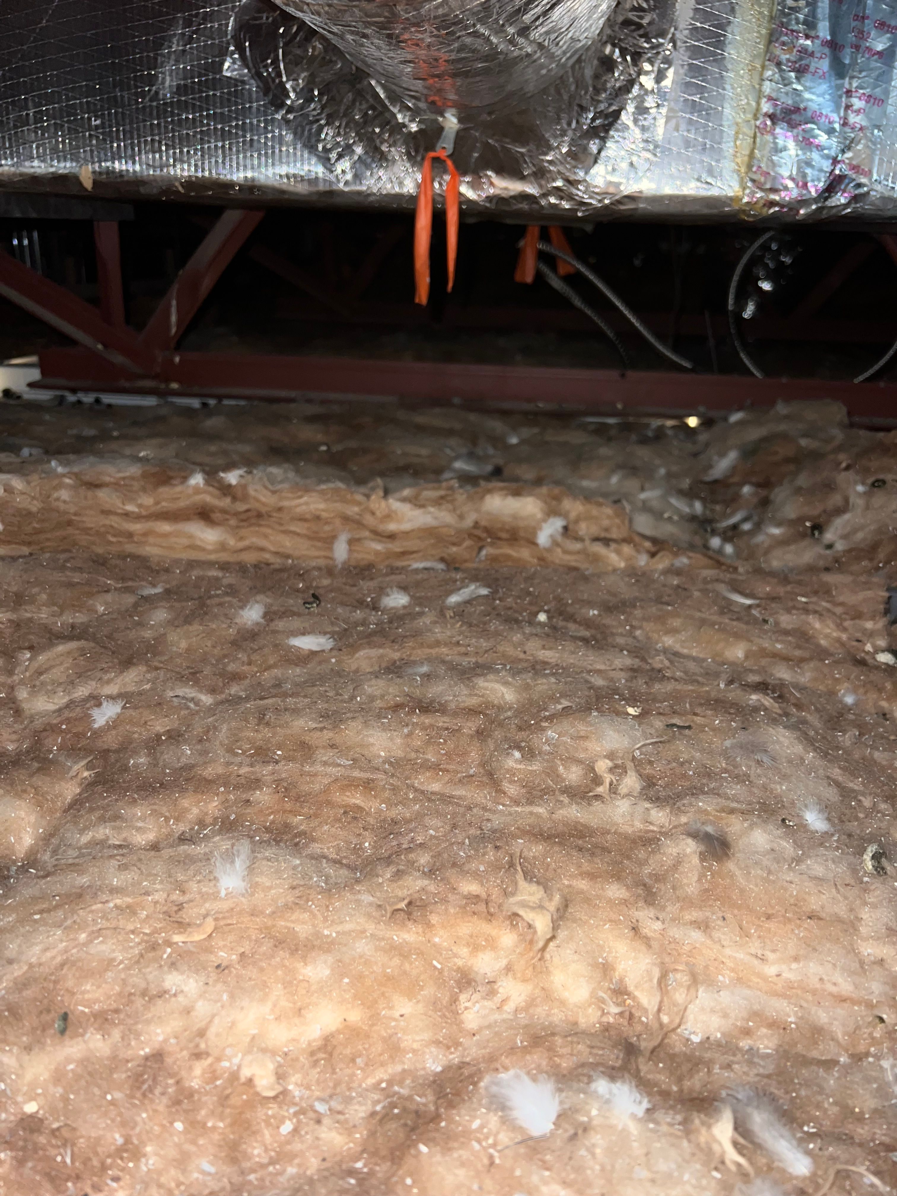  for N&D Restoration Services When Disaster Strikes, We Come In in Cape Coral,  FL