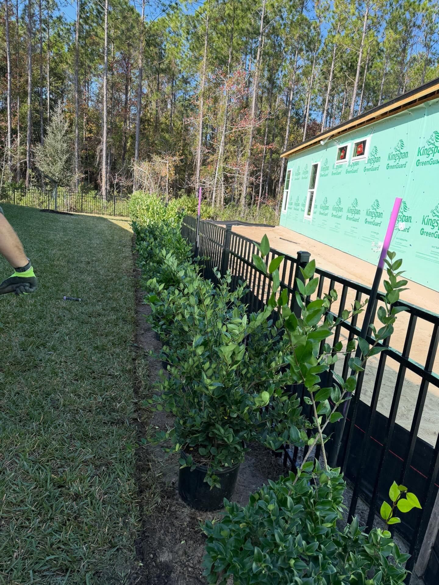  for Whole 9 Yards Services in Green Cove Springs, FL