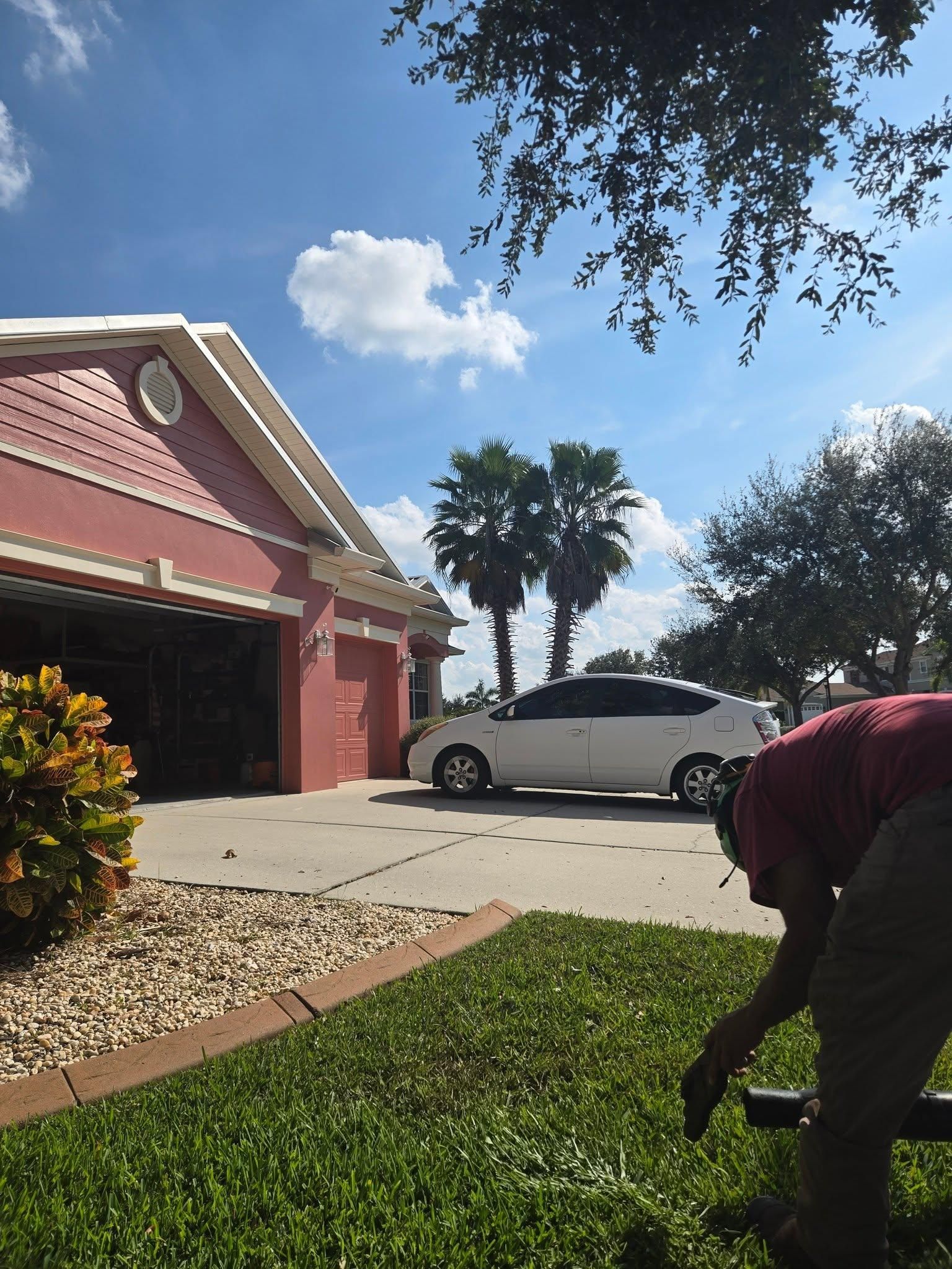 All Photos for TREE BOYS in Ruskin, FL