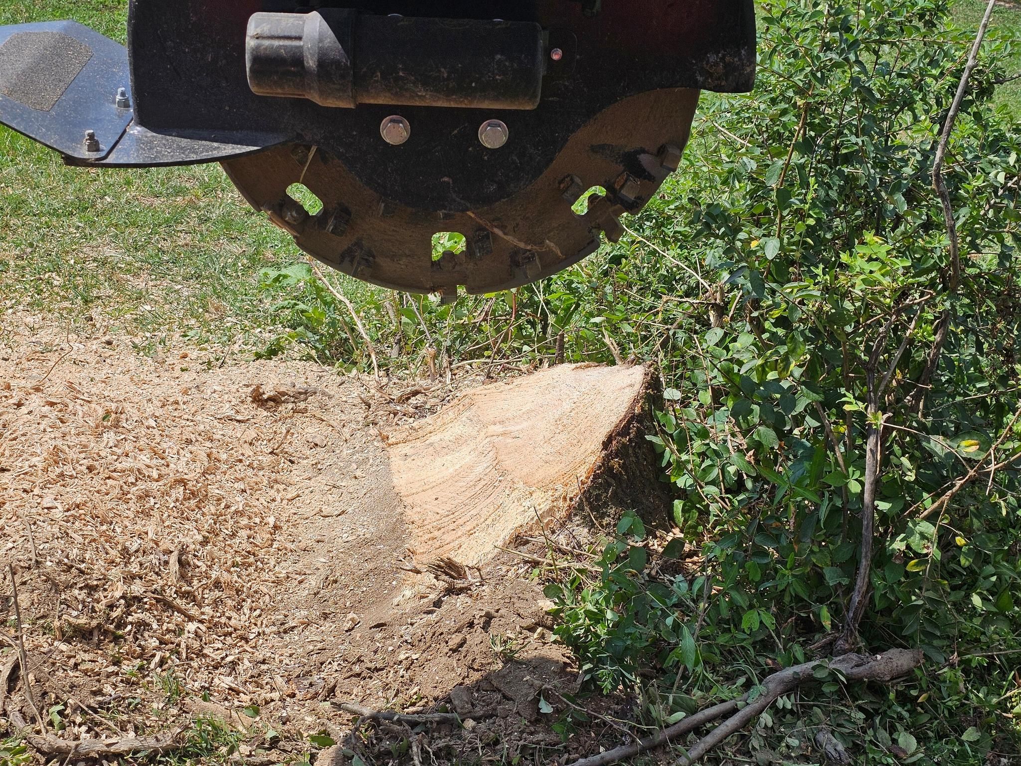  for I and R Stump Grinding in Thornville, OH