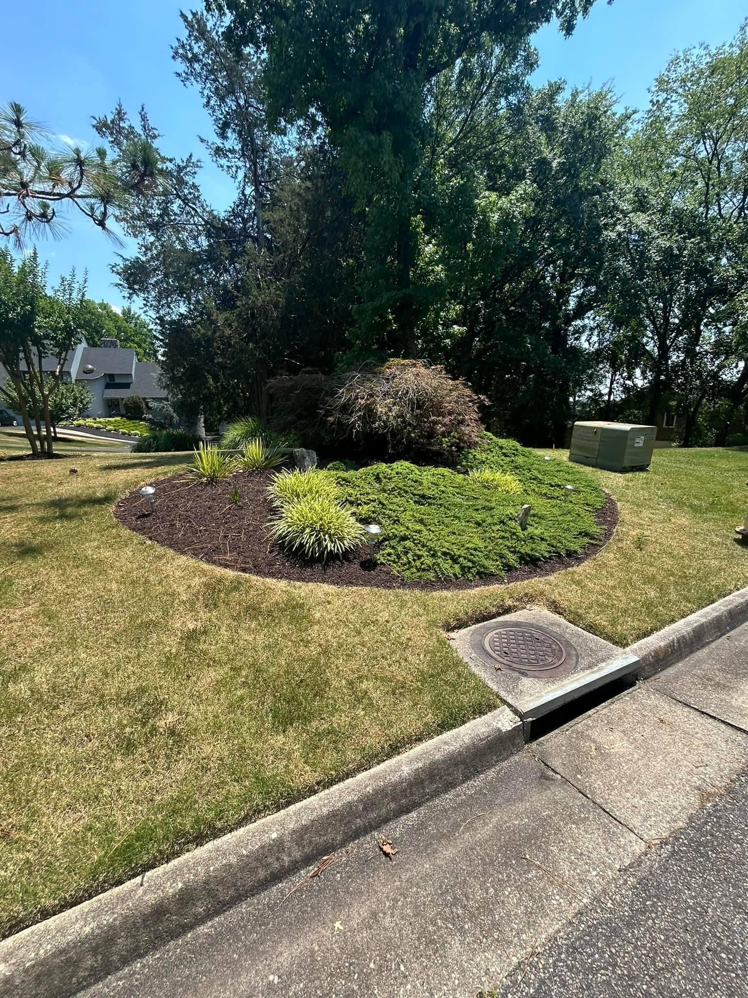  for Absolute Lawn Solutions LLC in Sutherland, VA