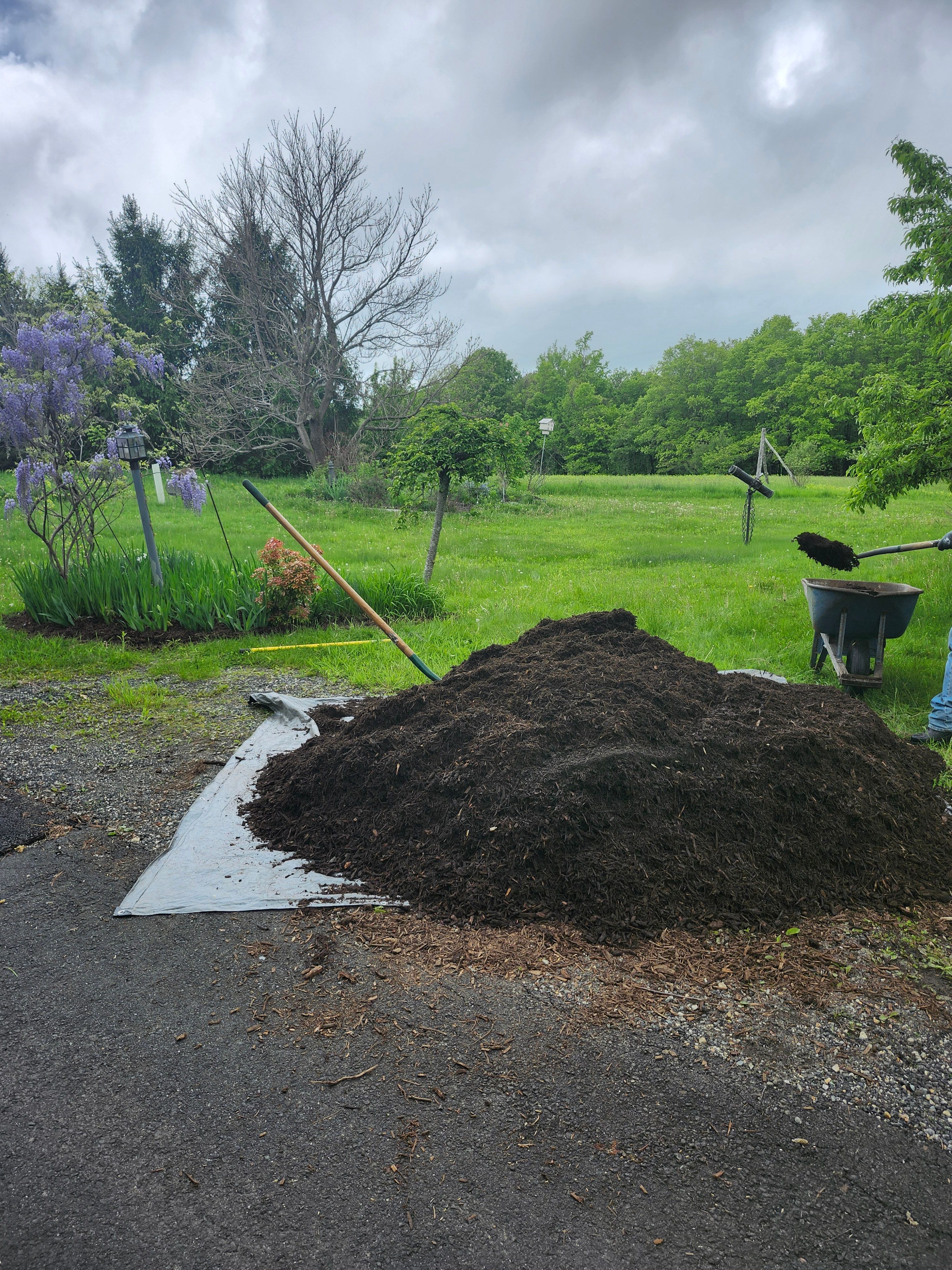 Muclhing & Weeding for Landscape Innovations LLC in Torrington, CT