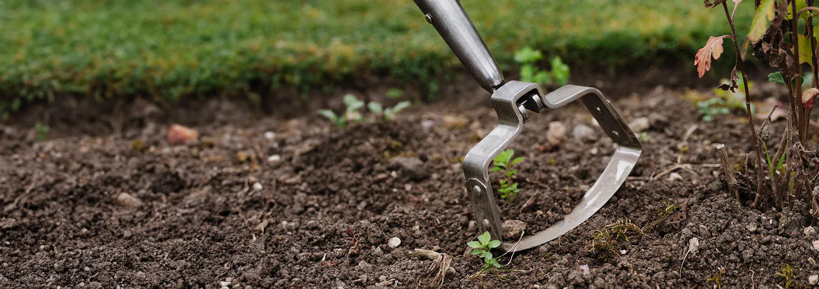 Landscaping for D&L Services LLC in Franklin, CT