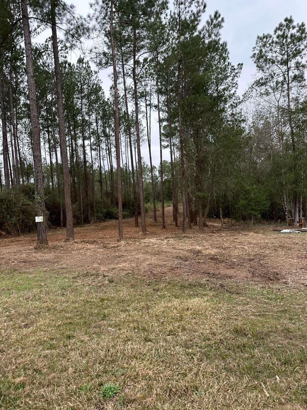 All Photos for White’s Land Maintenance in Milton,, FL