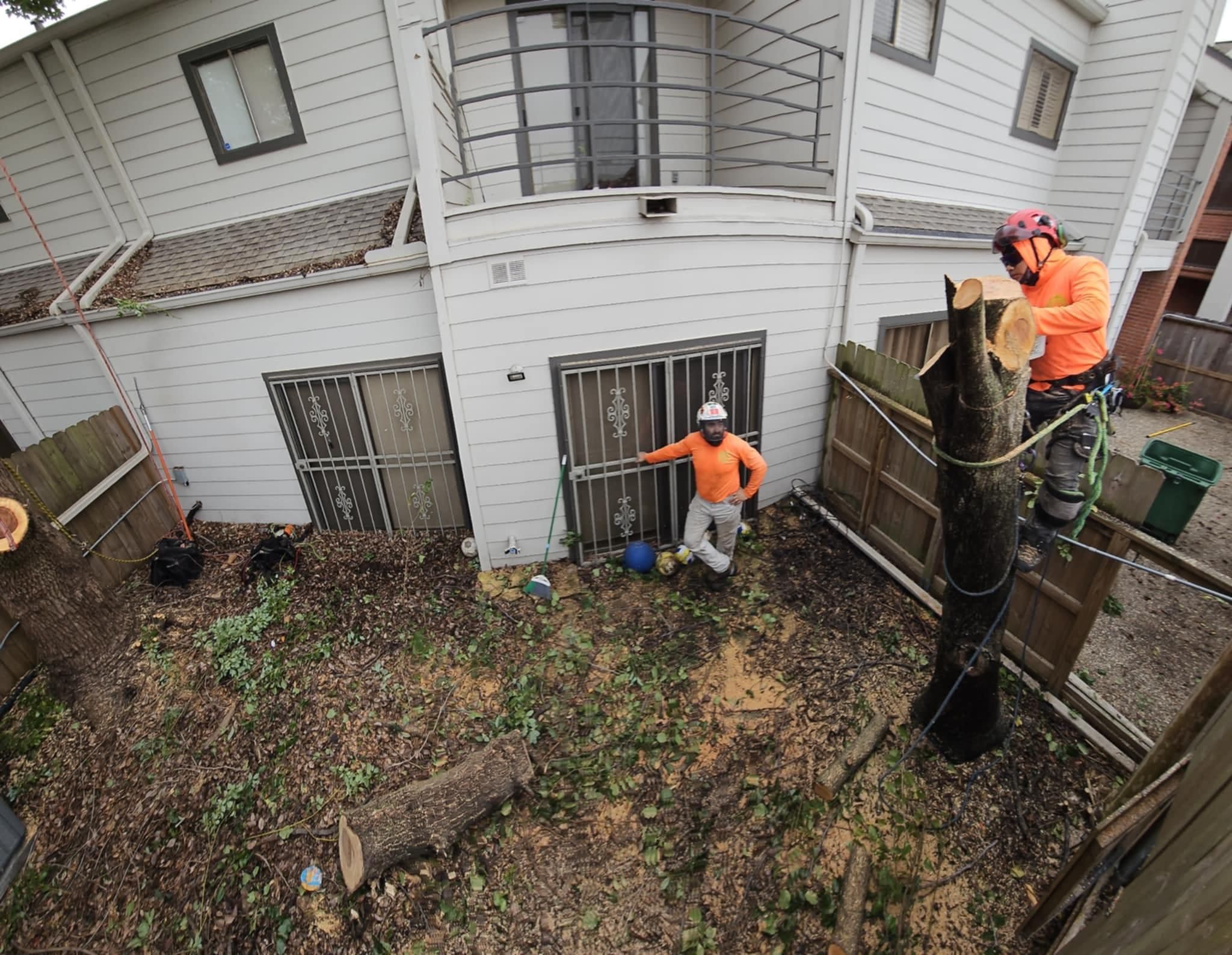  for Servin's Tree Care  in Houston, TX