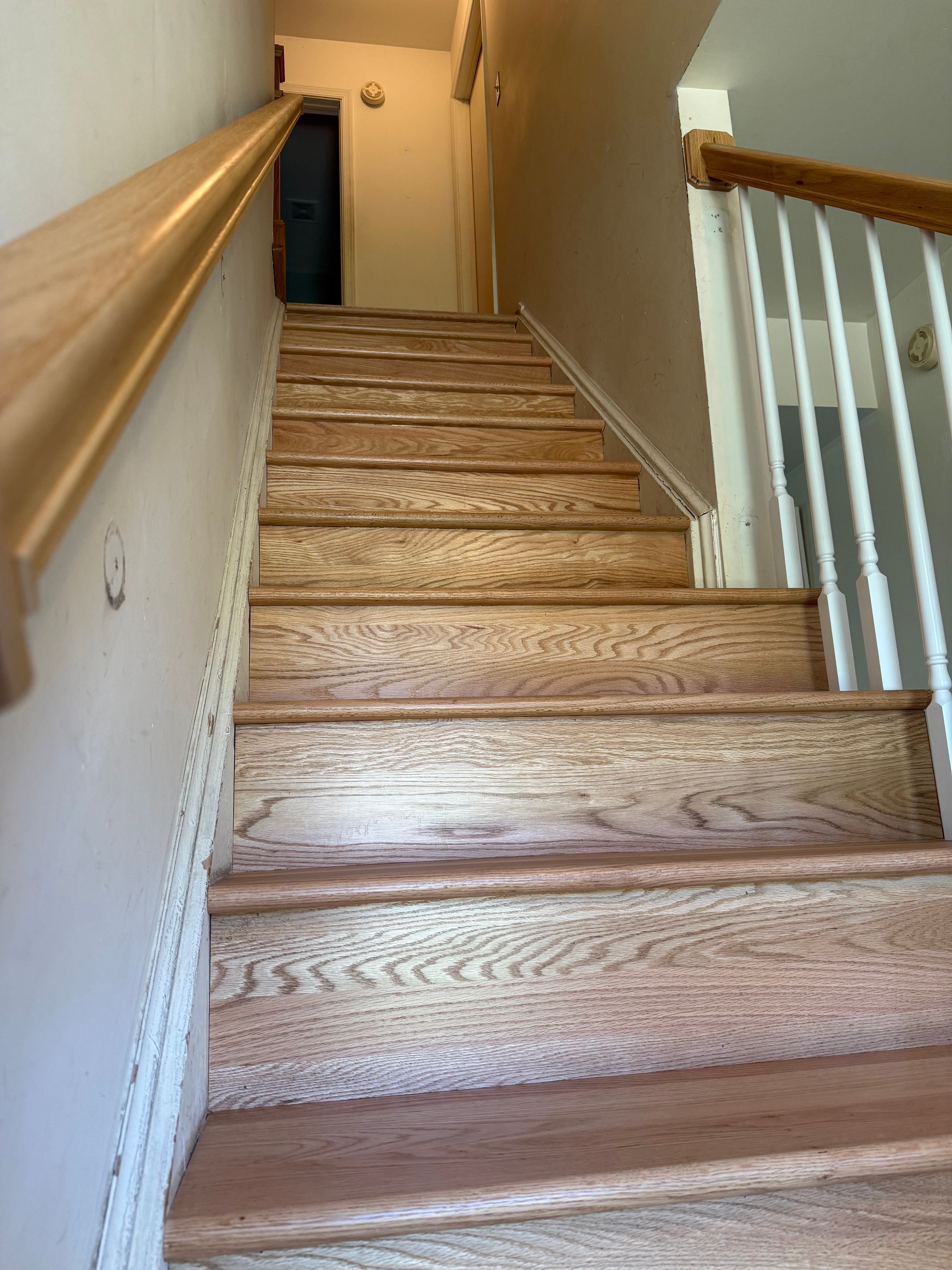  for Finely Finished LLC in Wyoming, DE