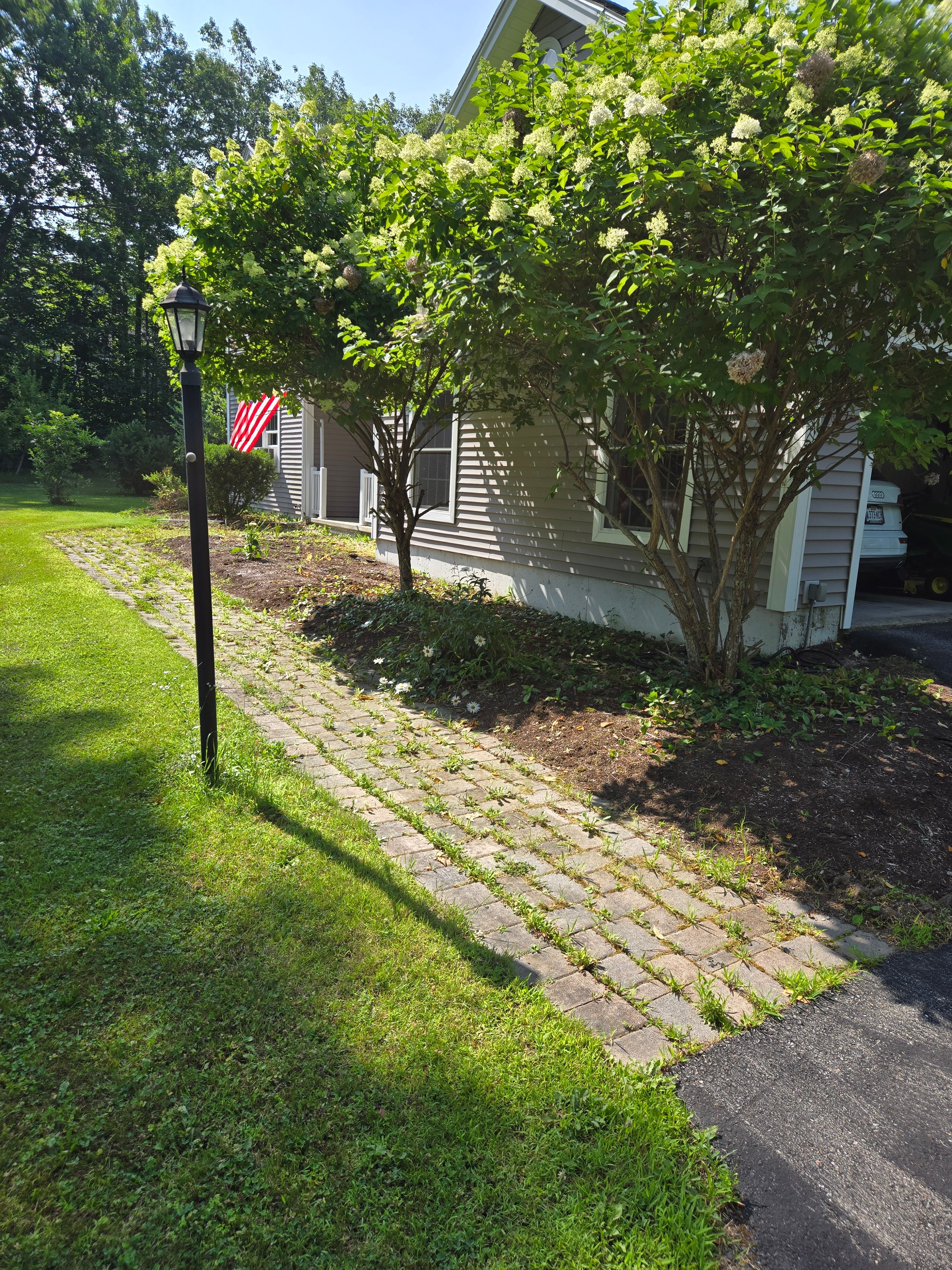 All Photos for Casey's Lawn Service LLC in Orono, ME