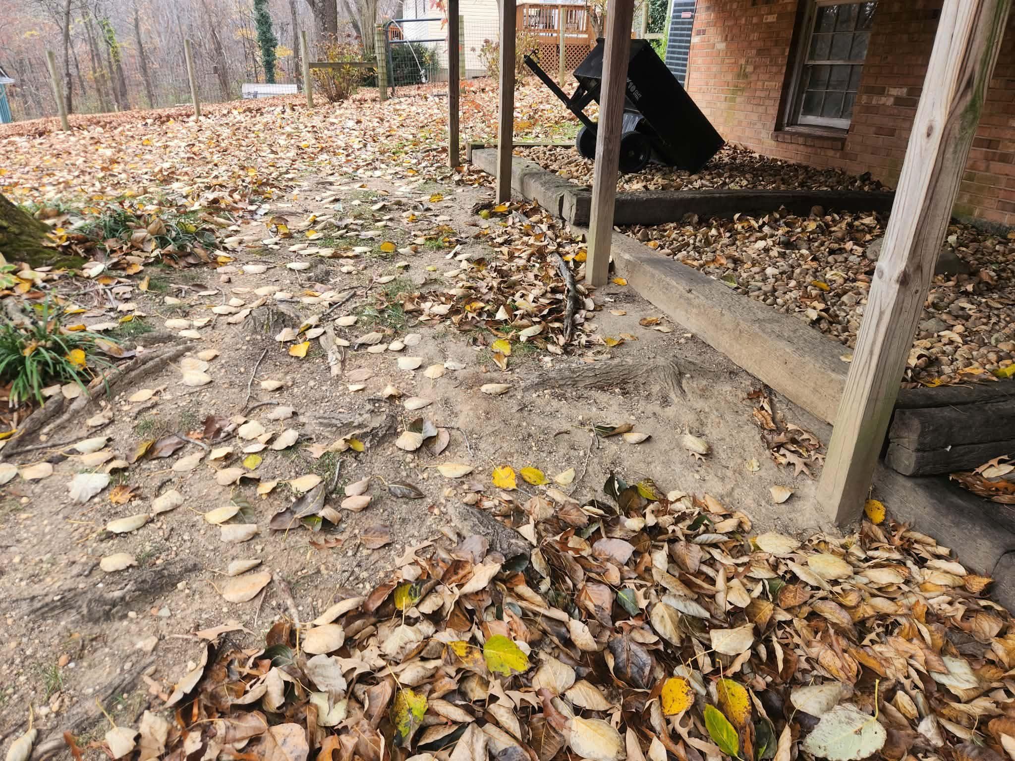  for Branch Out Tree Care LLC in Fredericksburg, VA