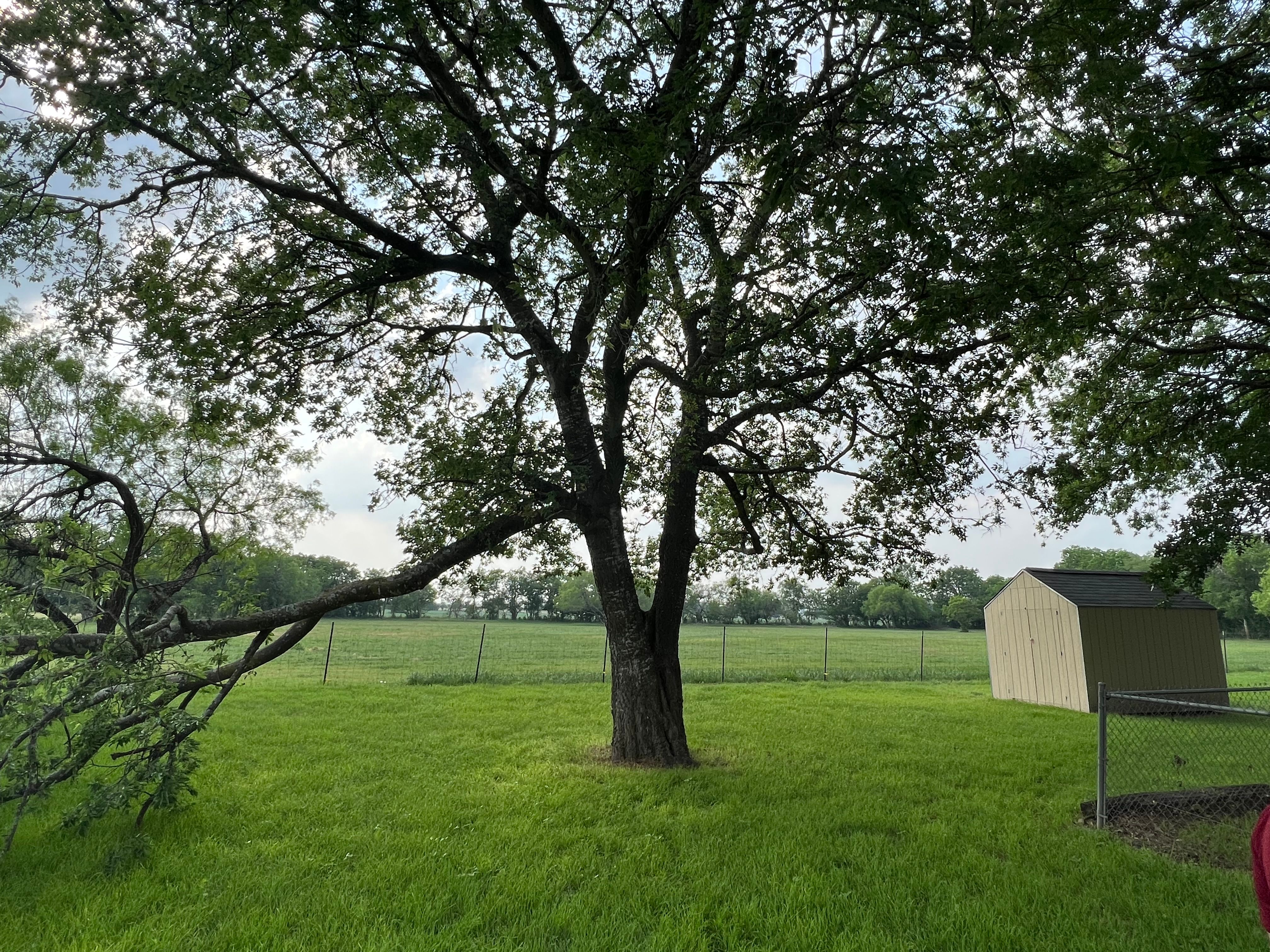  for DR Landscape in San Antonio, TX