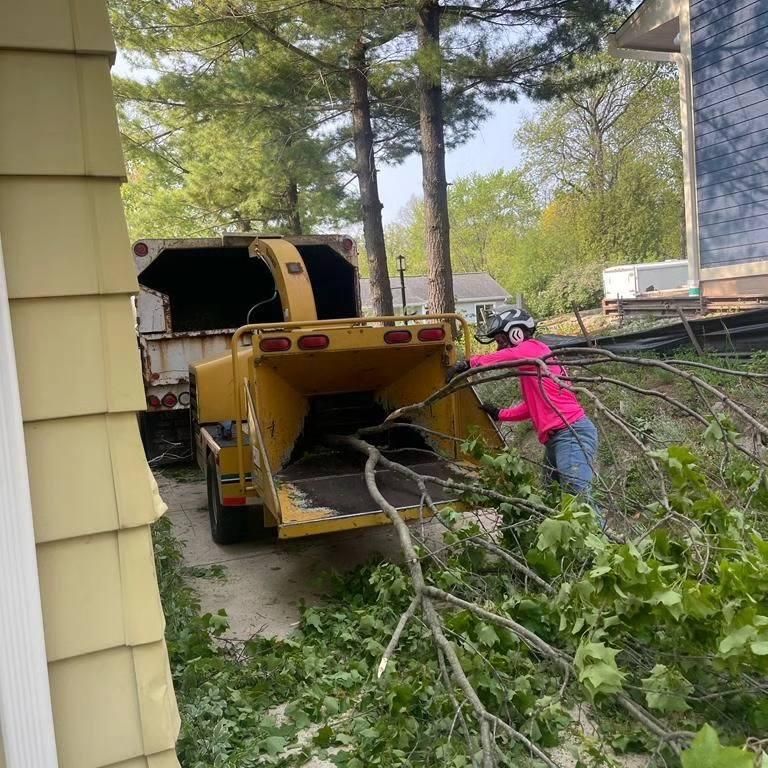  for Oakwood Tree Removal LLC in Oak Creek,  WI