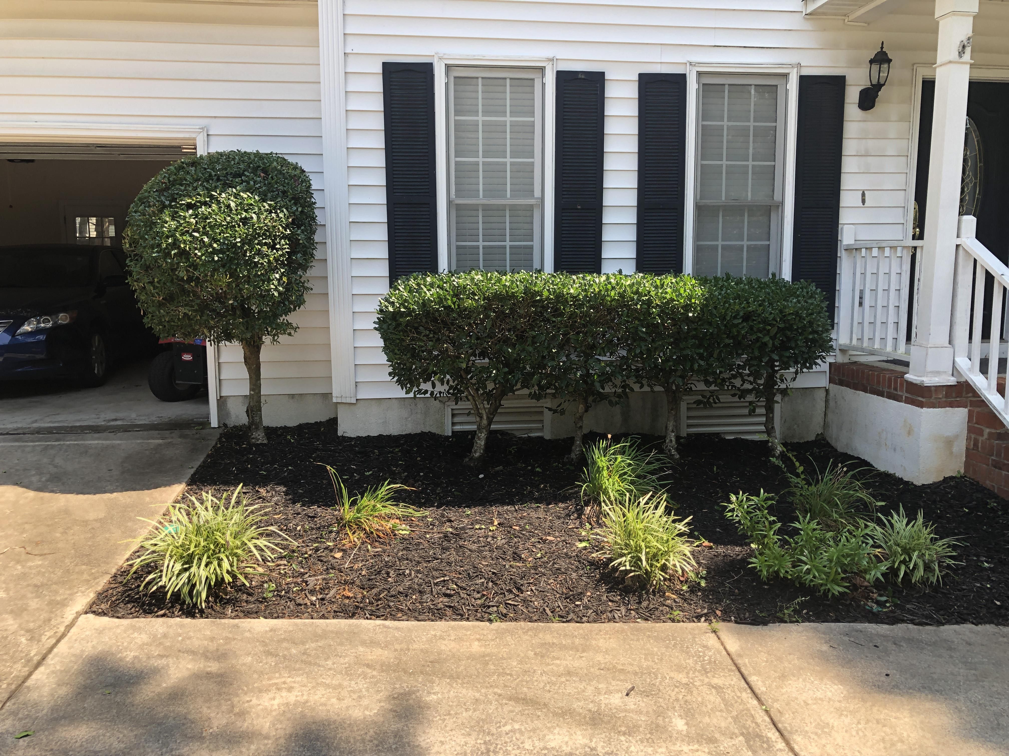  for Shang's Landscaping Service in Columbia, South Carolina