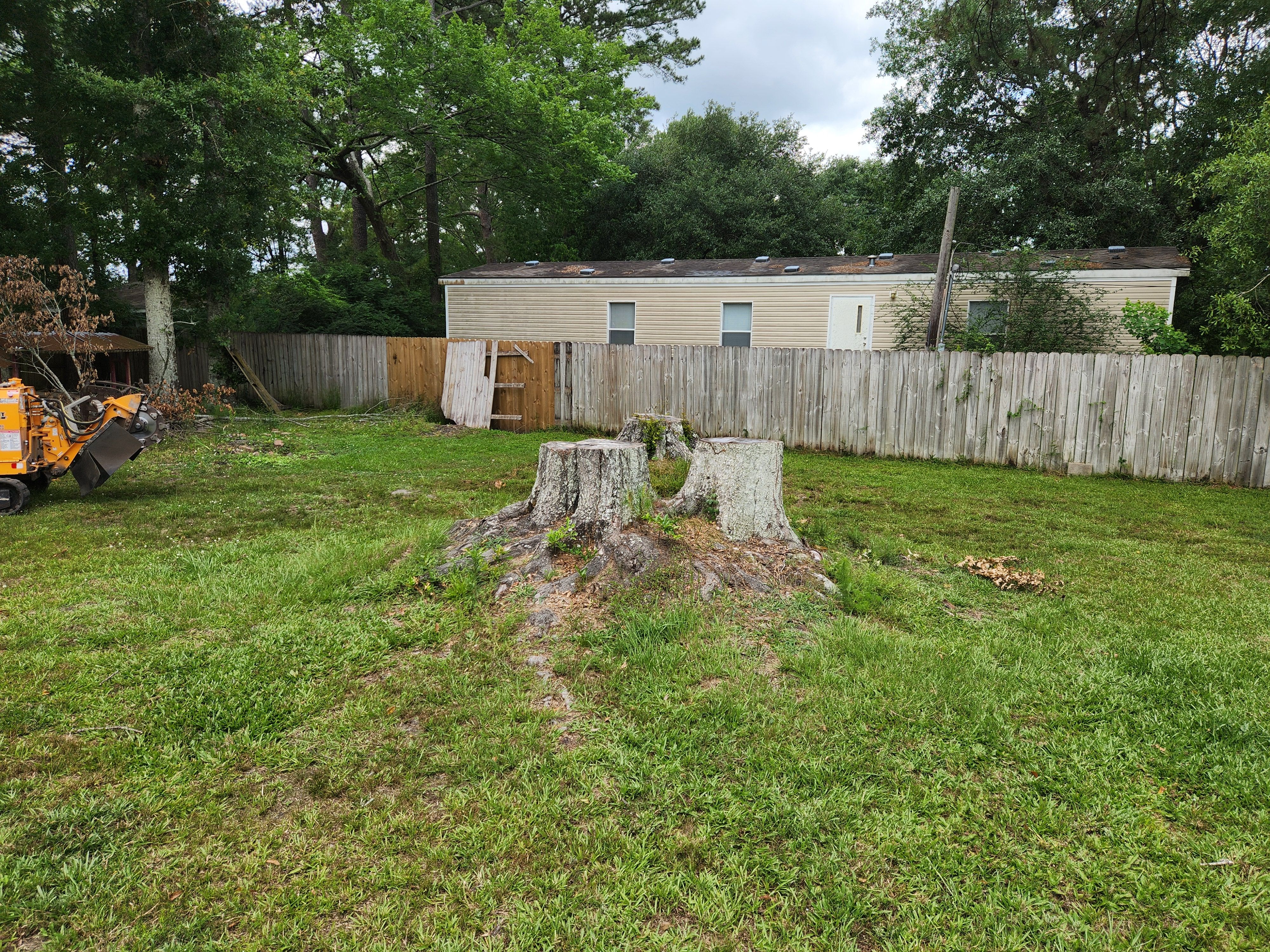  for David's Tree Service in Slidell, LA