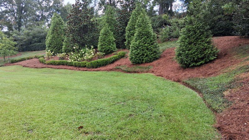  for Amis Lawn and Landscape, LLC in Clinton, MS