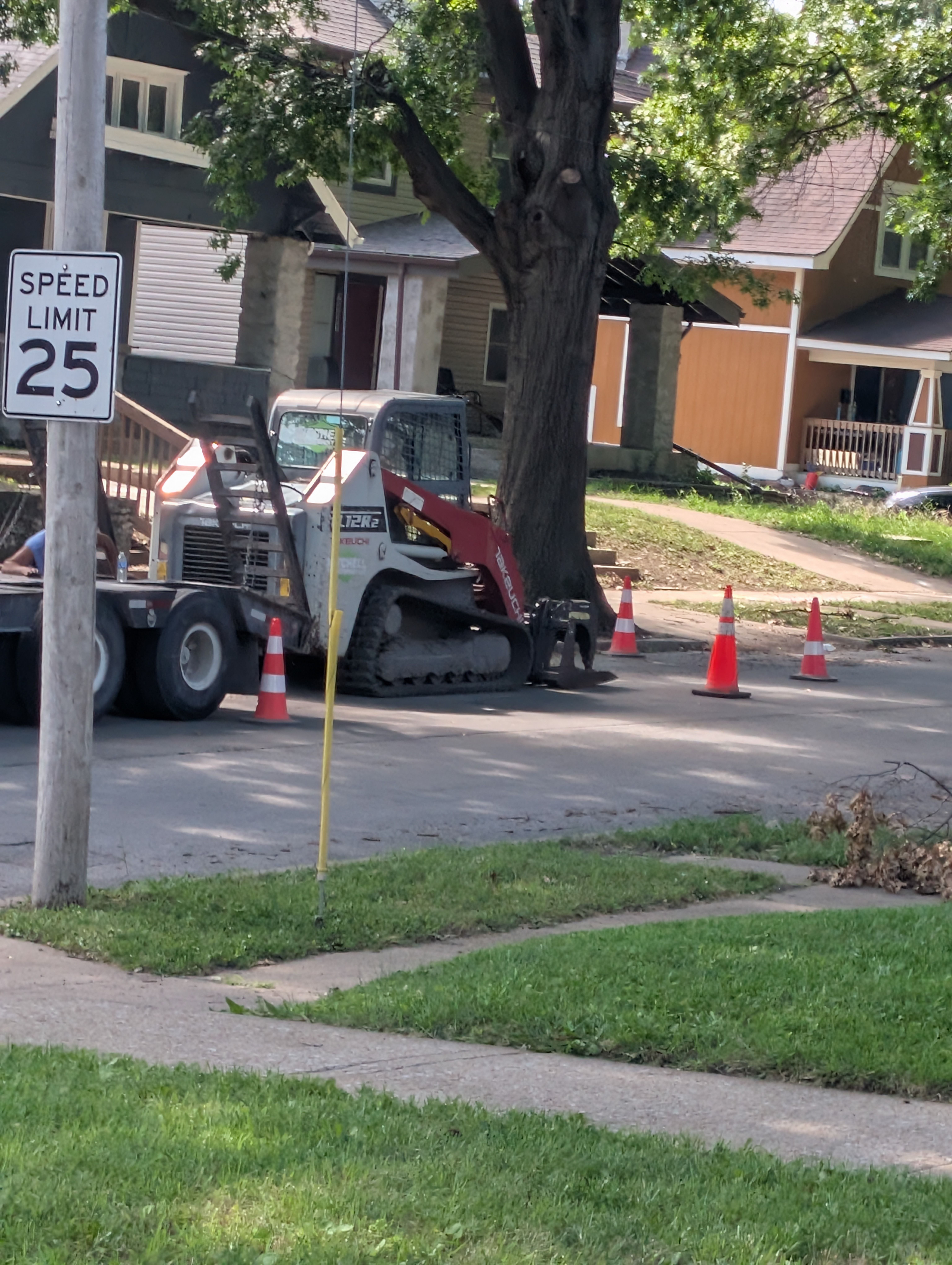  for Mitchell Tree Company in Lathrop, MO