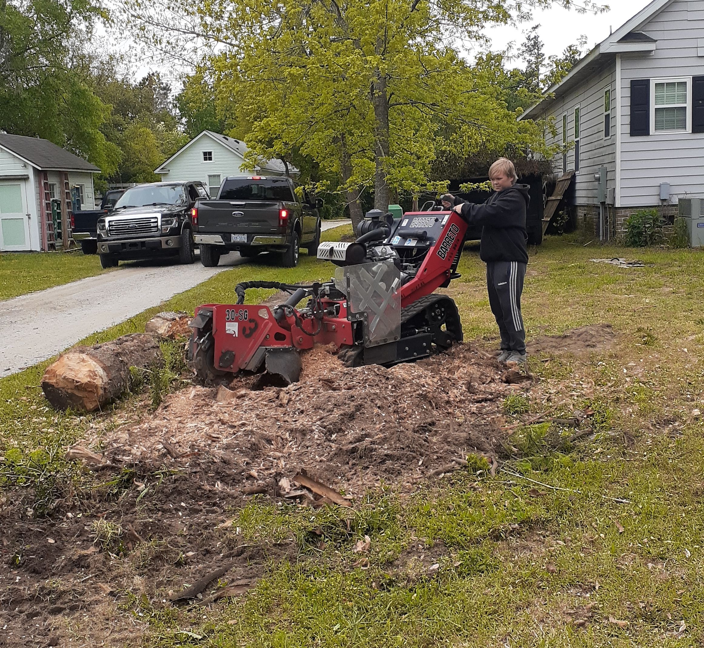 for Professional Tree Service USA in Chattanooga, TN