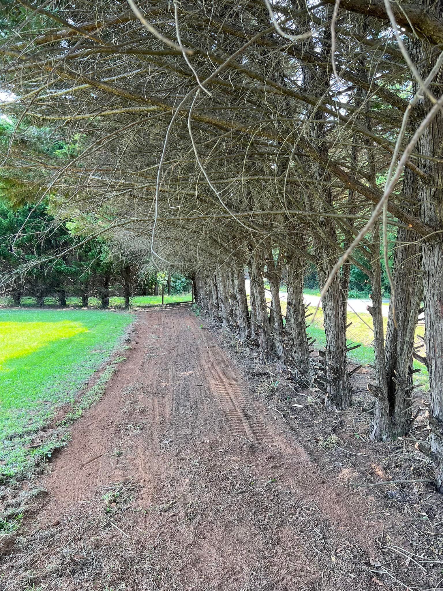  for Veteran Land Management in Greenwood, SC