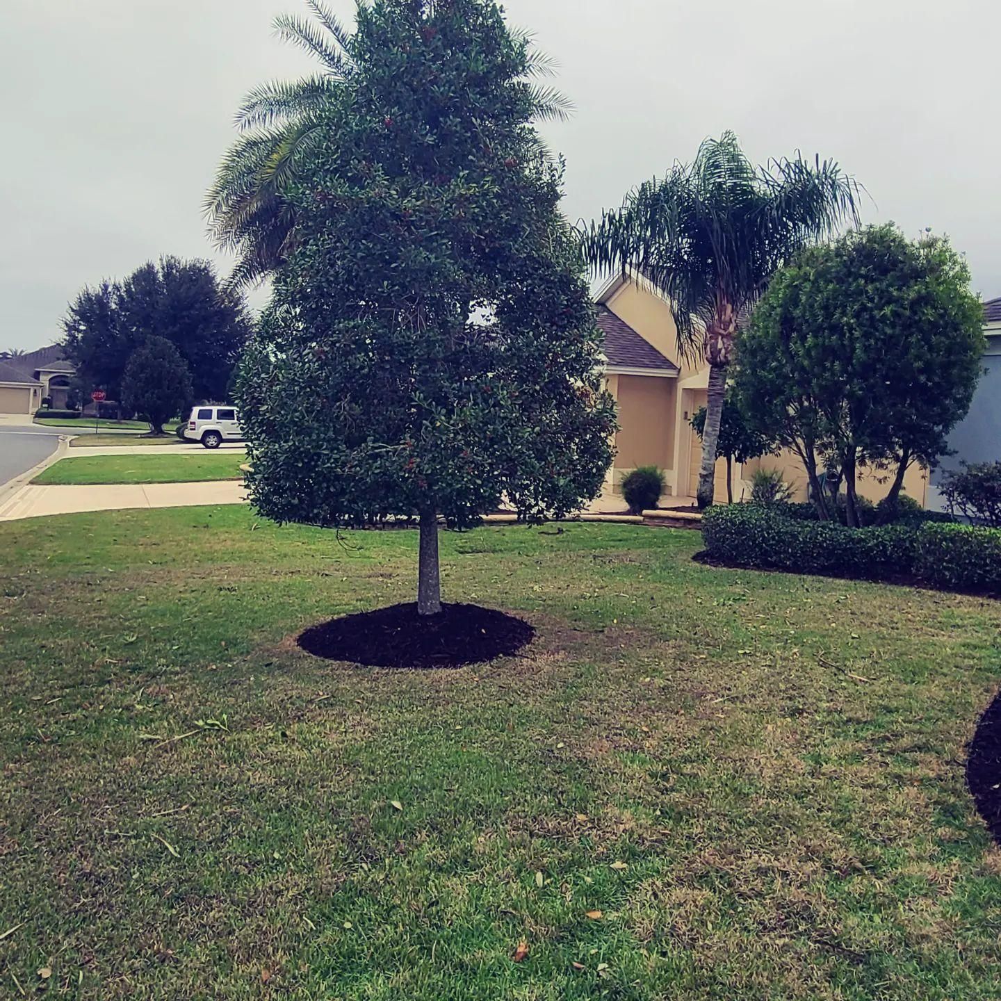  for TopNotch Landscaping Services  in The Villages, FL