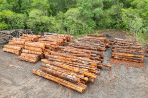  for Bluff Country Whitetails in Grand Ledge, MI