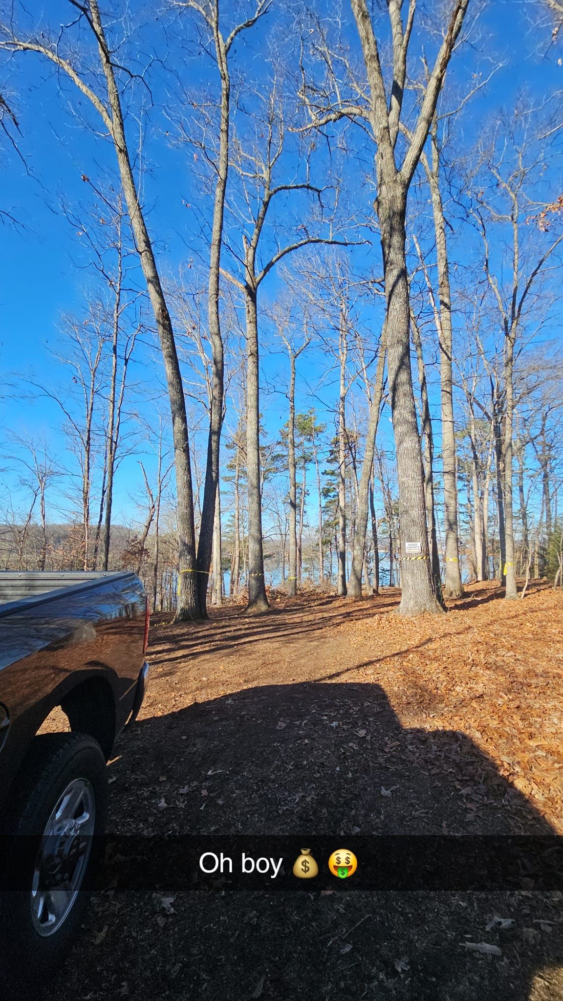  for Reagan & Sons Tree Service in Dandridge, TN